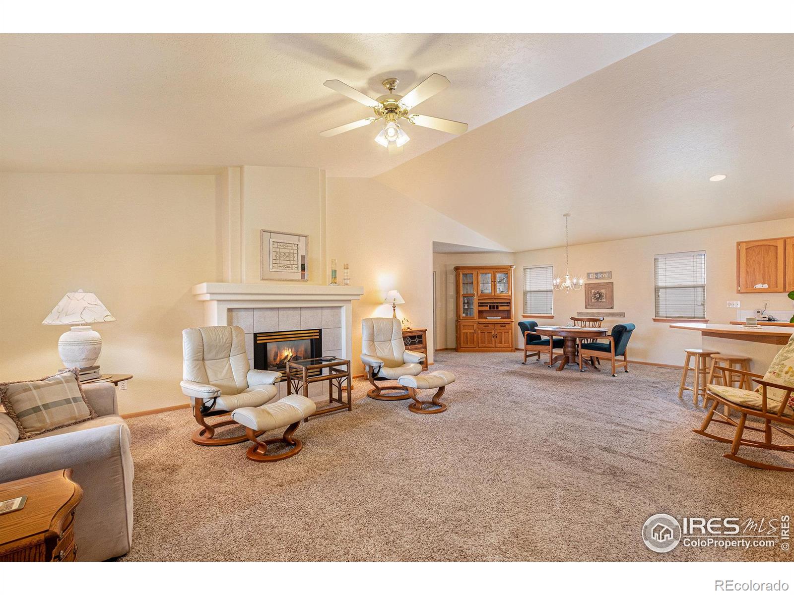 MLS Image #8 for 529  radiant drive,loveland, Colorado