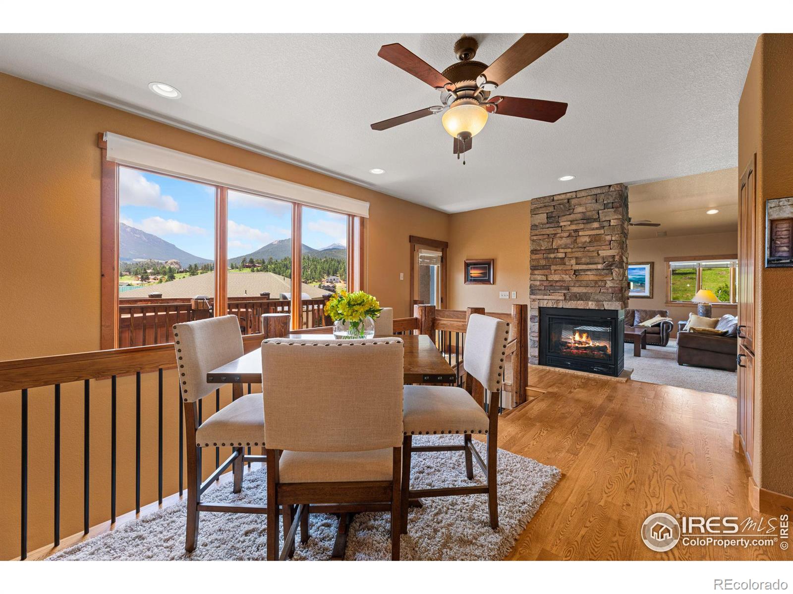 MLS Image #5 for 261  solomon drive,estes park, Colorado