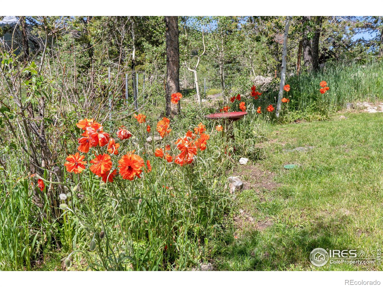 MLS Image #38 for 12  lake street,black hawk, Colorado