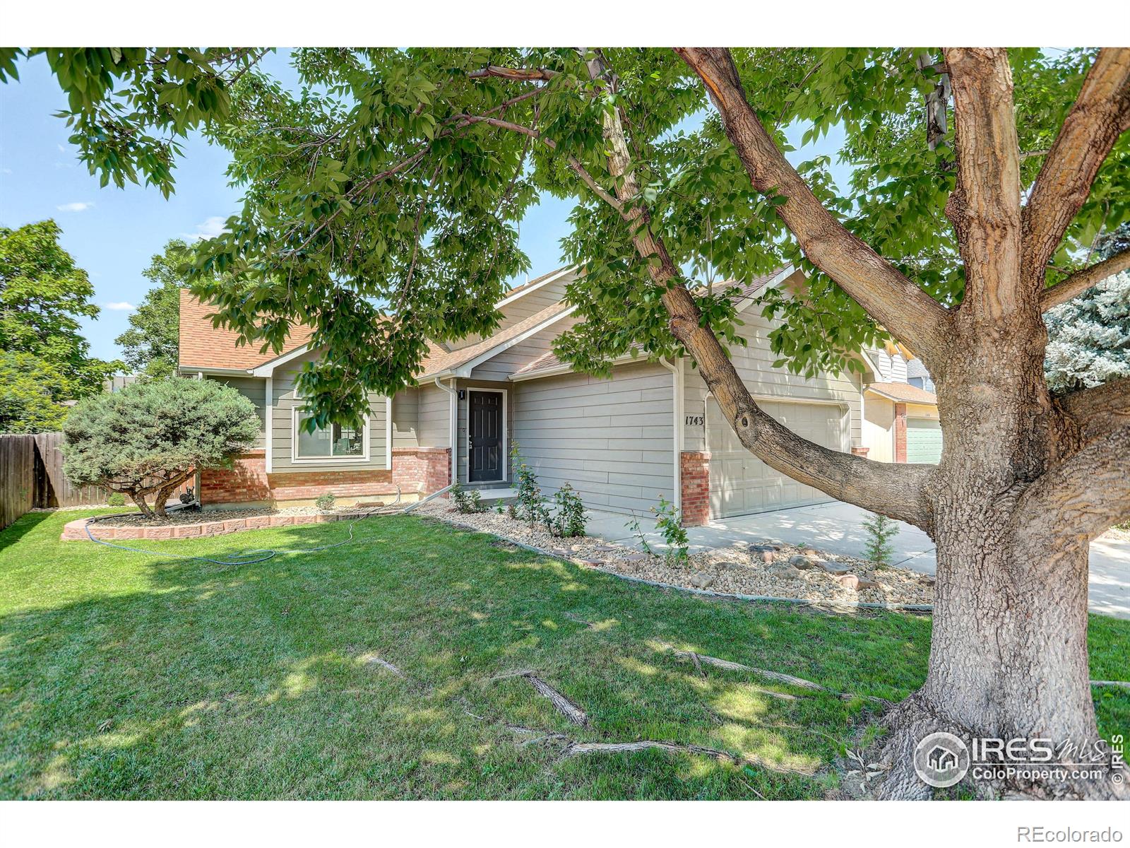 CMA Image for 1733  lefthand drive,Longmont, Colorado