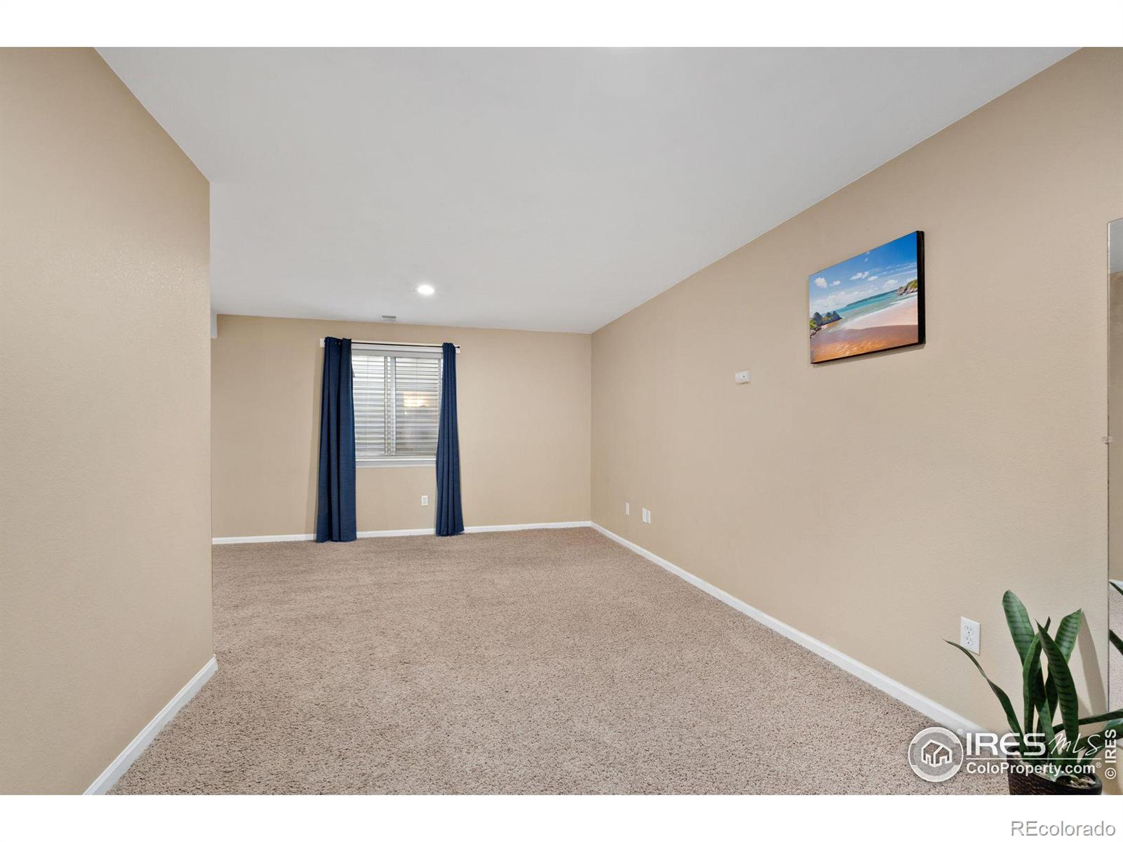 MLS Image #26 for 2937  mercy drive,fort collins, Colorado