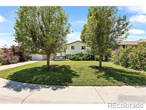 MLS Image #0 for 135  ivy court,windsor, Colorado