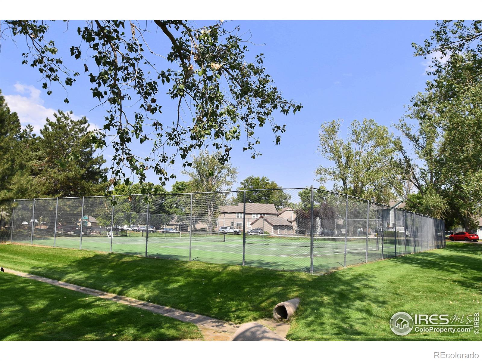 MLS Image #38 for 2828  silverplume drive,fort collins, Colorado