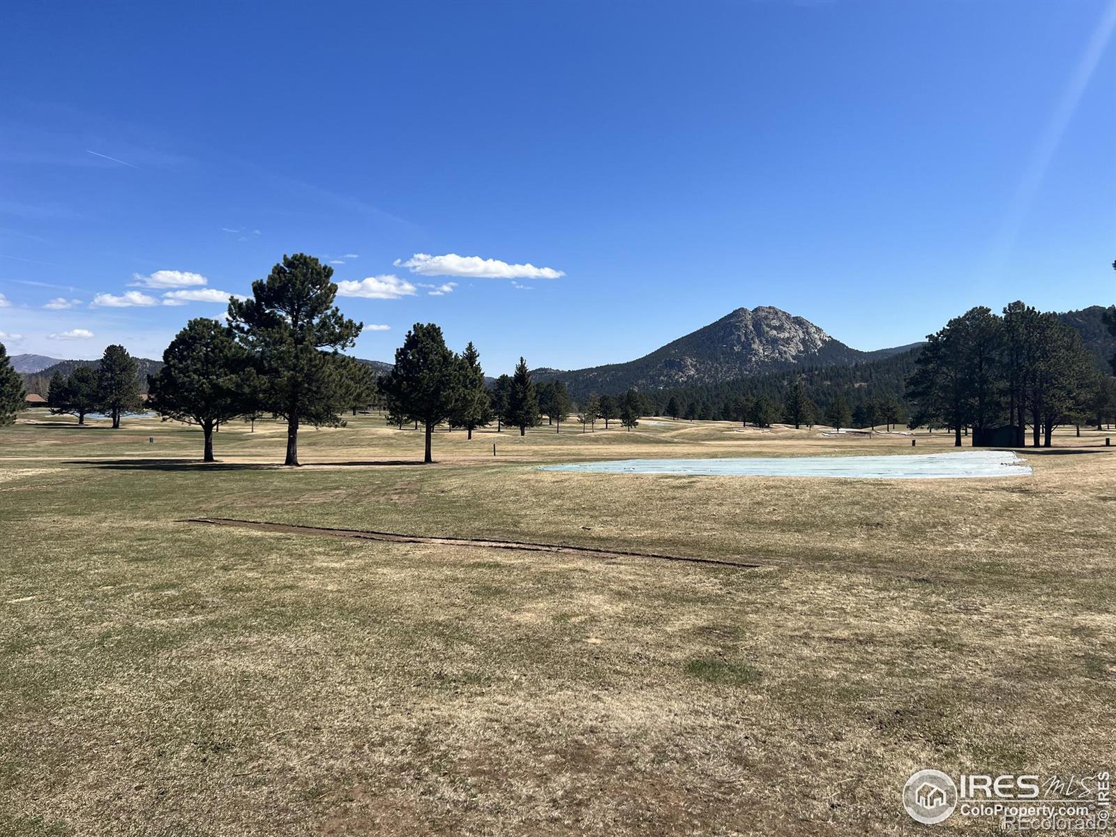 MLS Image #1 for 1010 s saint vrain avenue,estes park, Colorado