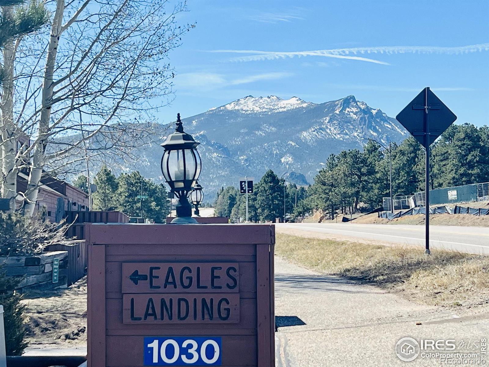 MLS Image #5 for 1010 s saint vrain avenue,estes park, Colorado