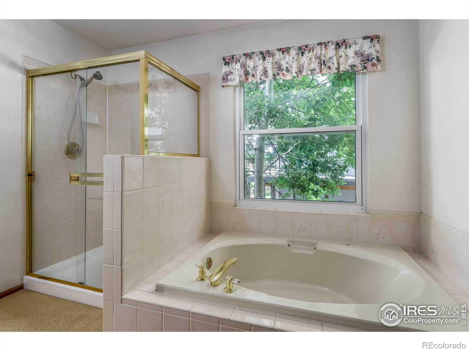 MLS Image #12 for 231  powderhorn trail,broomfield, Colorado