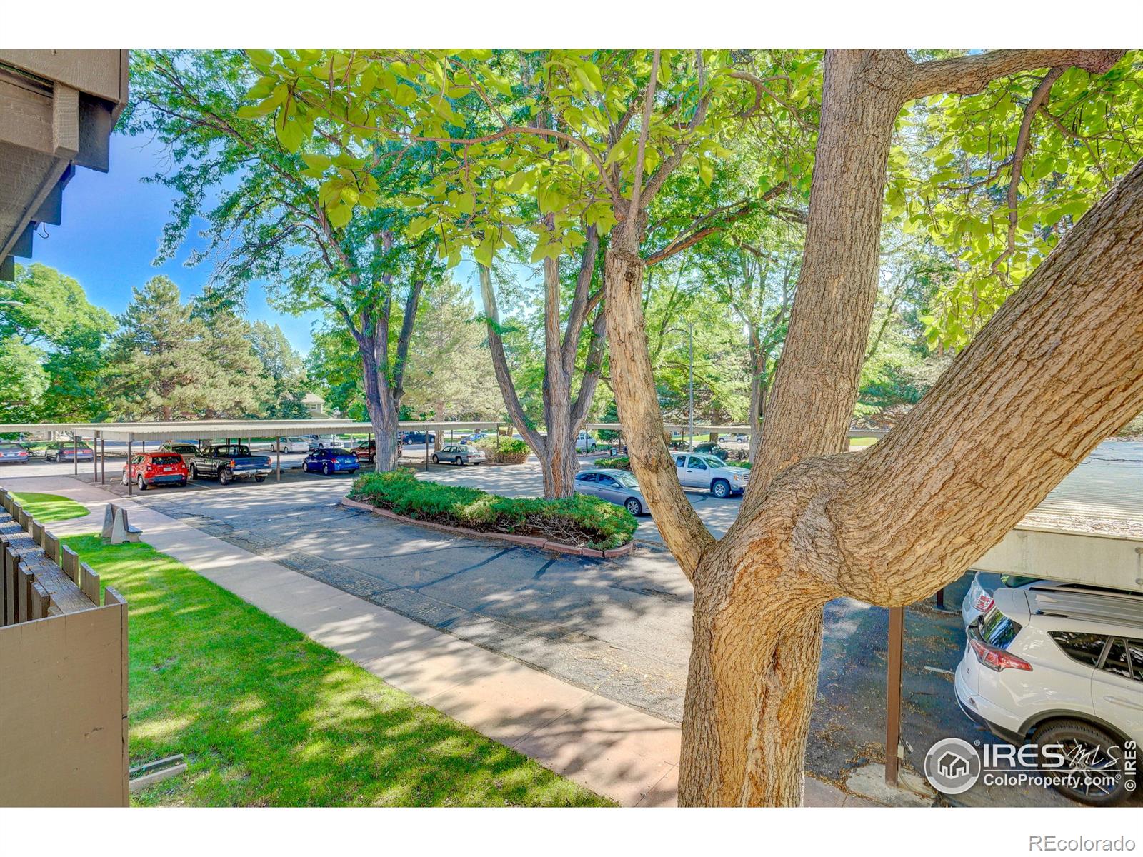 MLS Image #22 for 1315  kirkwood drive,fort collins, Colorado