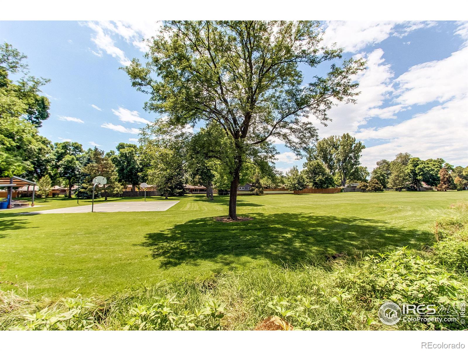 MLS Image #30 for 1036  glenmoor drive,fort collins, Colorado