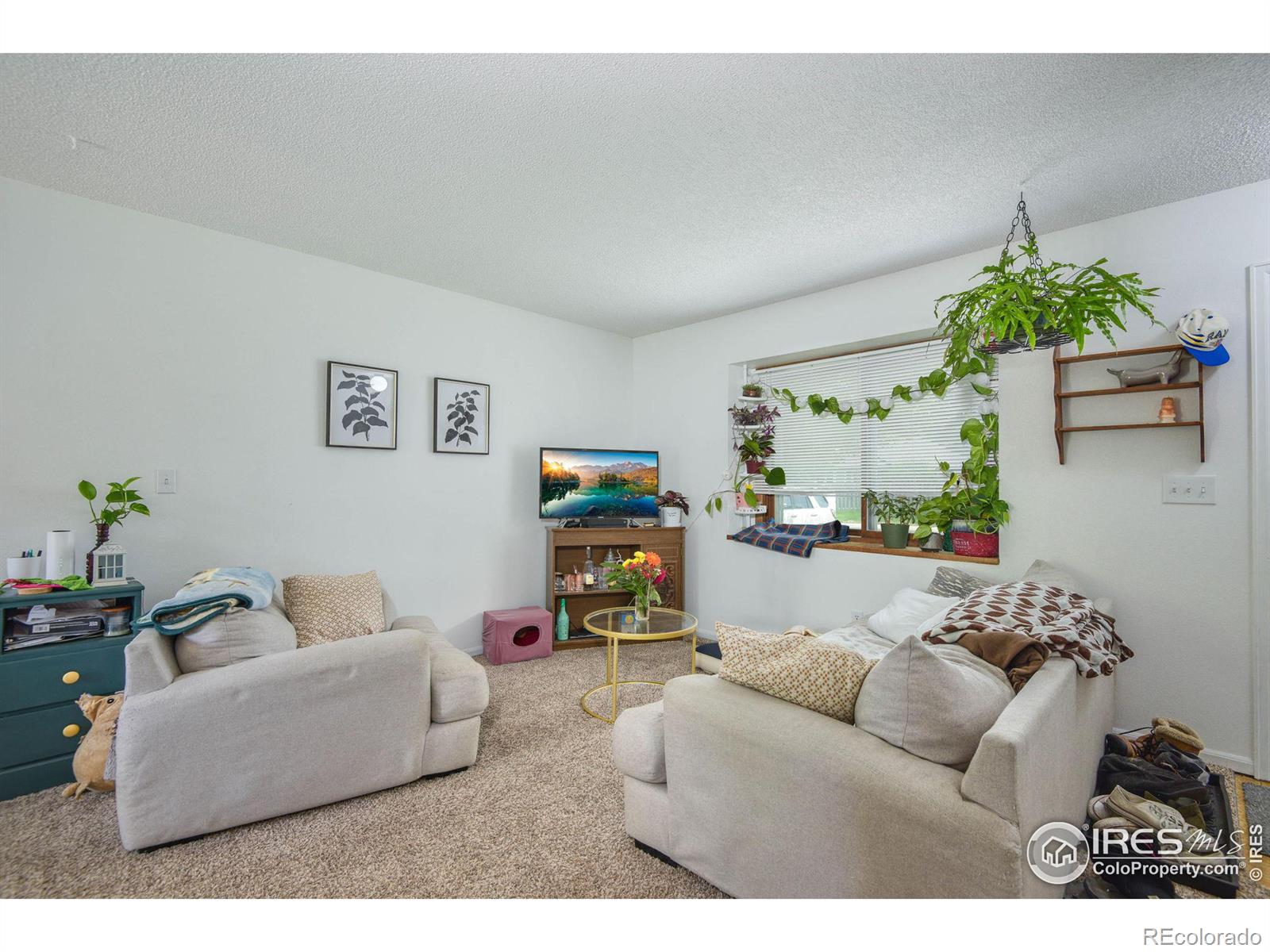 MLS Image #3 for 1612  kirkwood drive,fort collins, Colorado