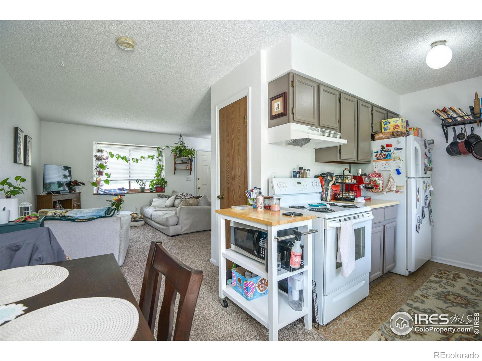 MLS Image #8 for 1612  kirkwood drive,fort collins, Colorado