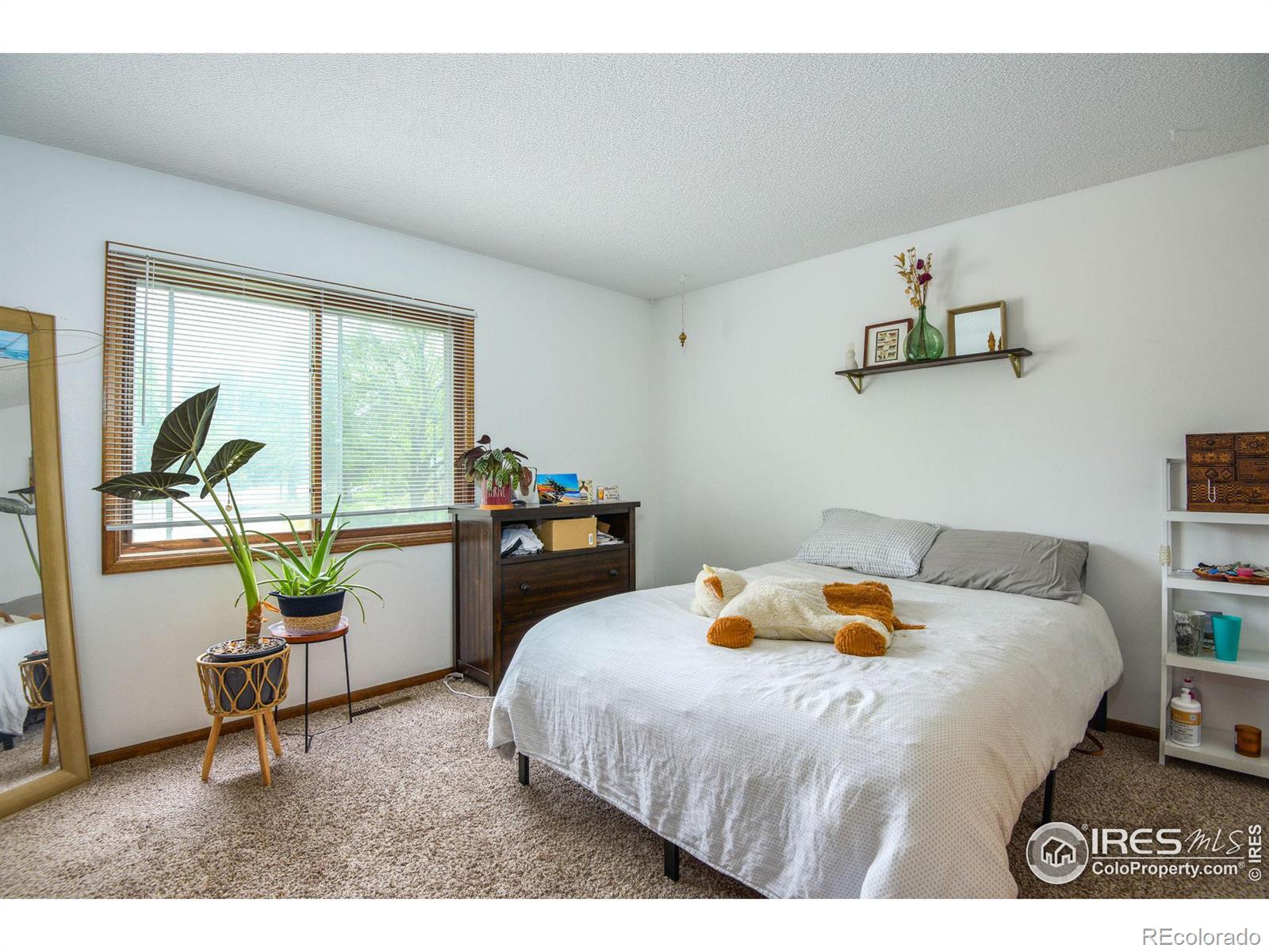 MLS Image #9 for 1612  kirkwood drive,fort collins, Colorado