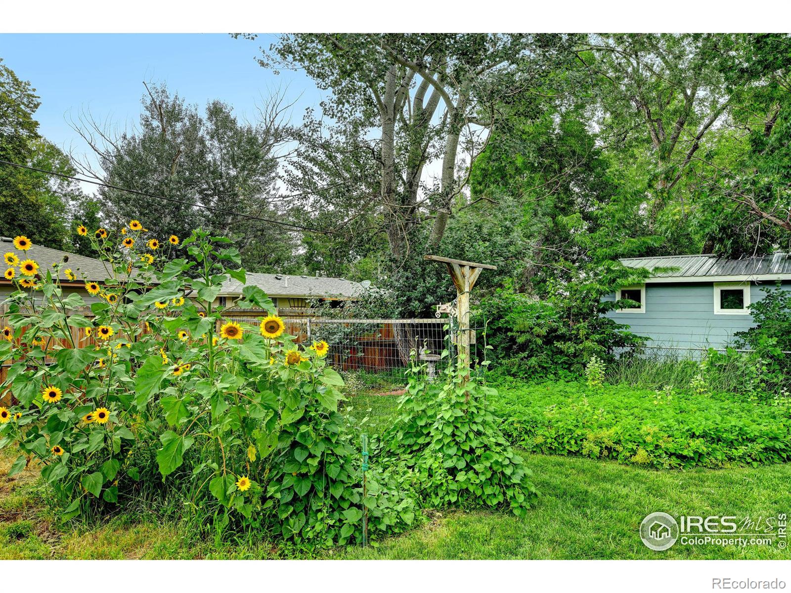 MLS Image #23 for 411  tedmon drive,fort collins, Colorado