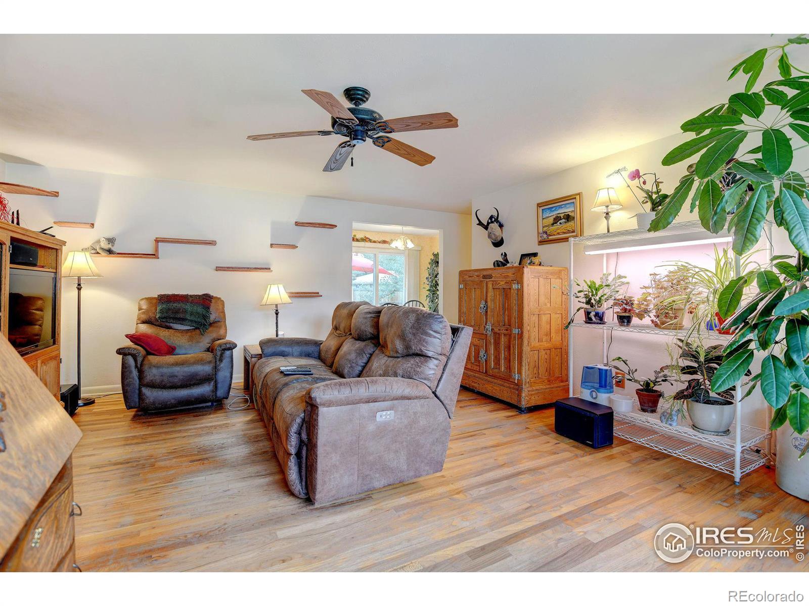 MLS Image #27 for 411  tedmon drive,fort collins, Colorado