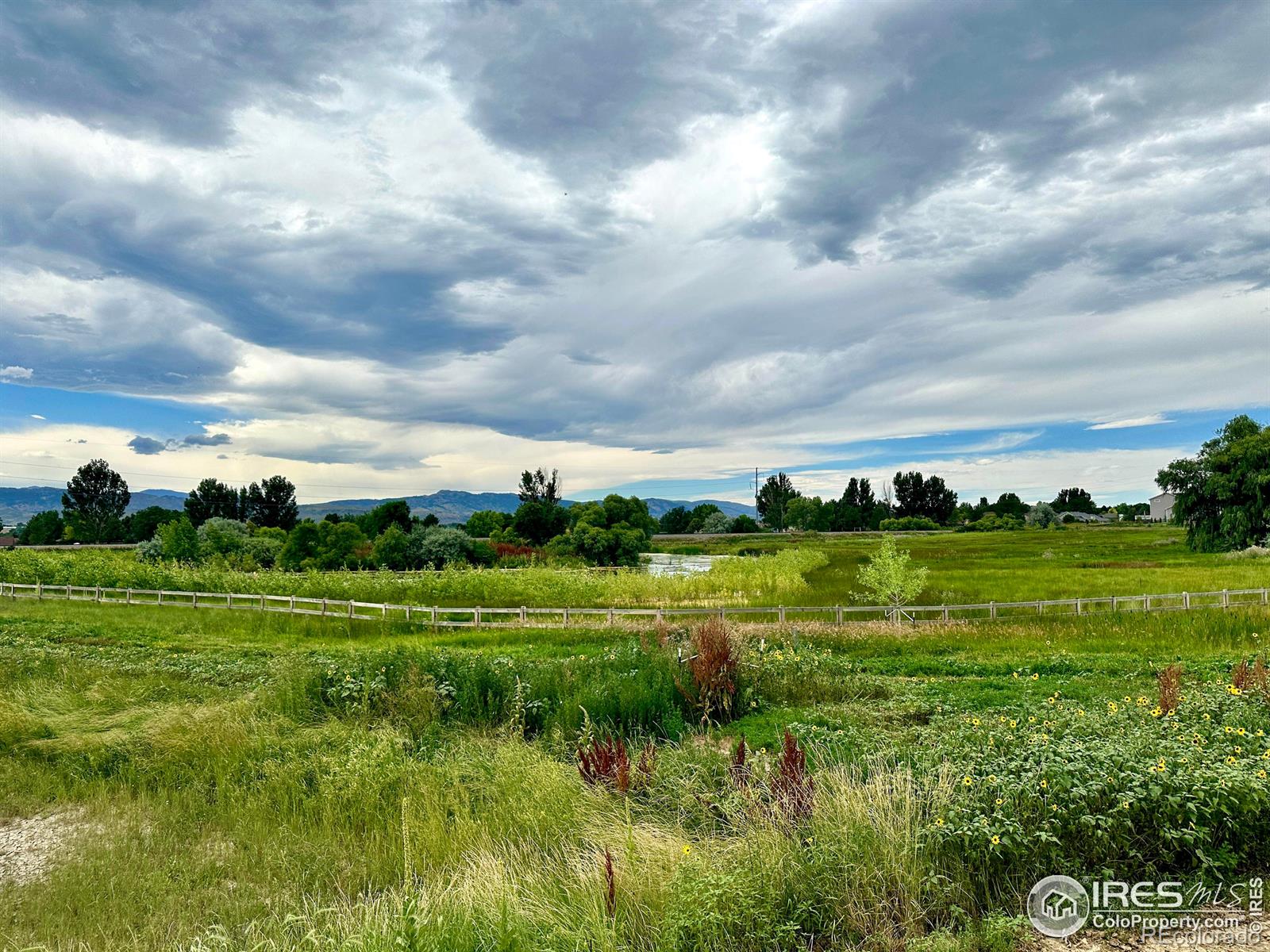 MLS Image #15 for 6021  croaking toad drive,fort collins, Colorado