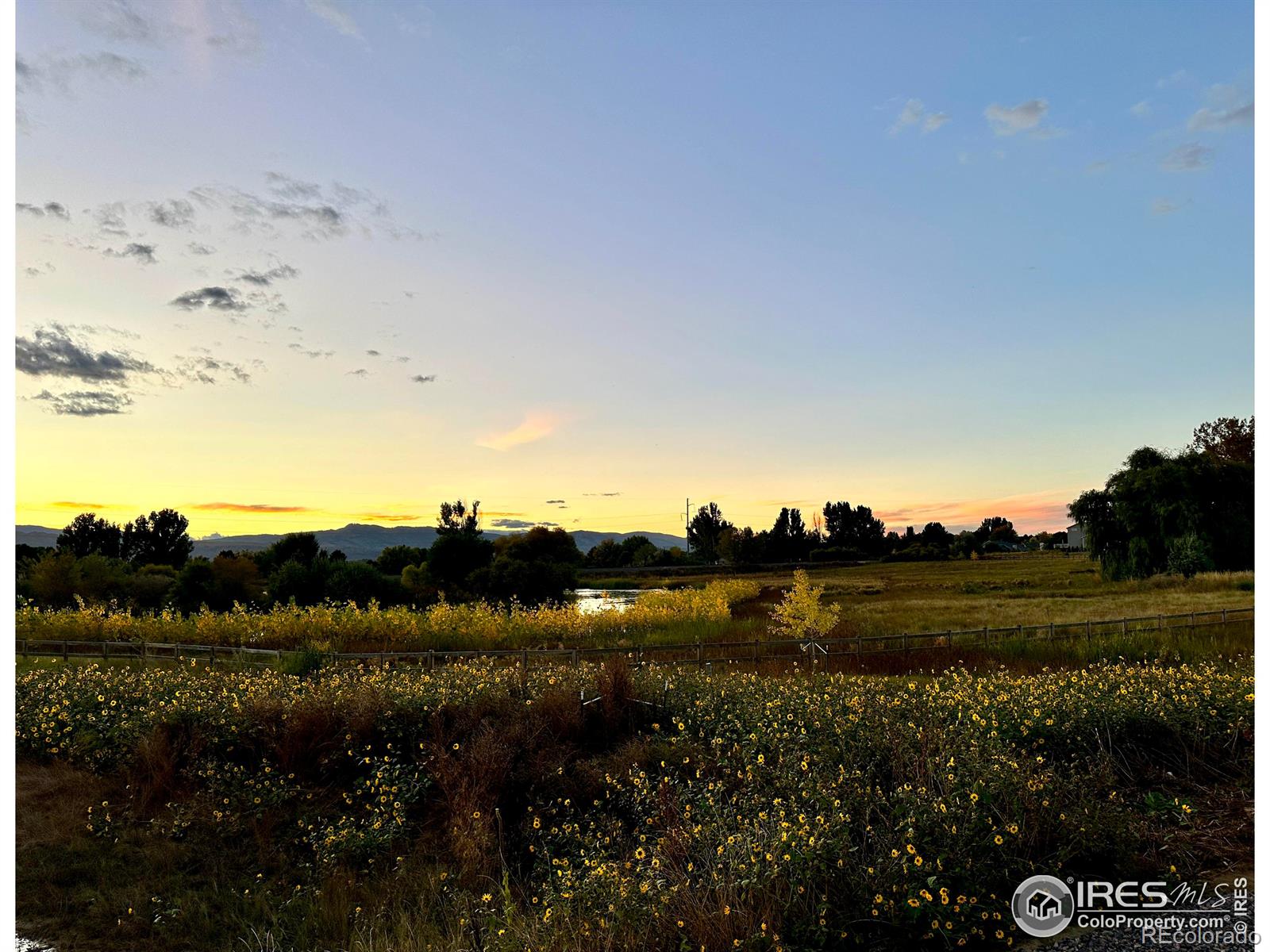 MLS Image #18 for 6021  croaking toad drive,fort collins, Colorado