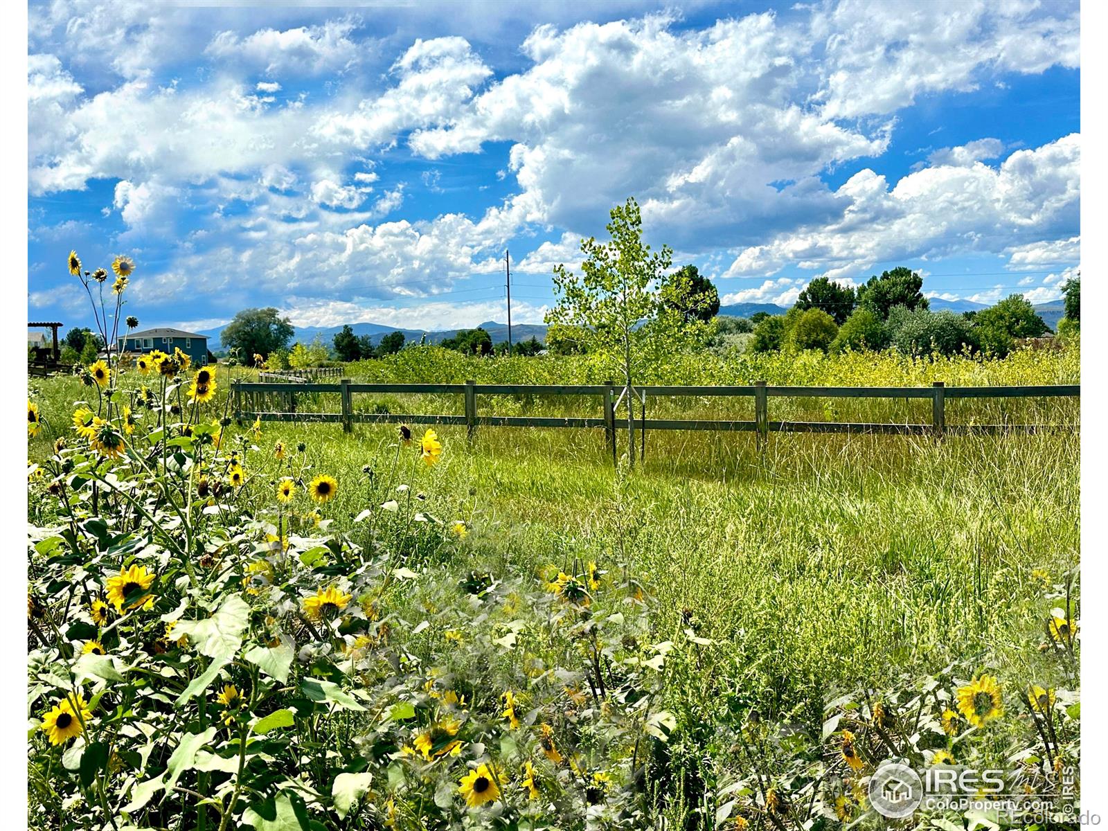 MLS Image #2 for 6021  croaking toad drive,fort collins, Colorado