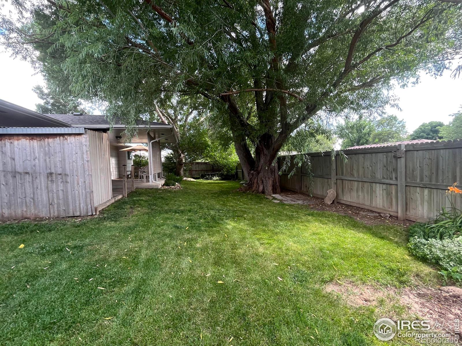 MLS Image #3 for 711  clifford avenue,fort collins, Colorado