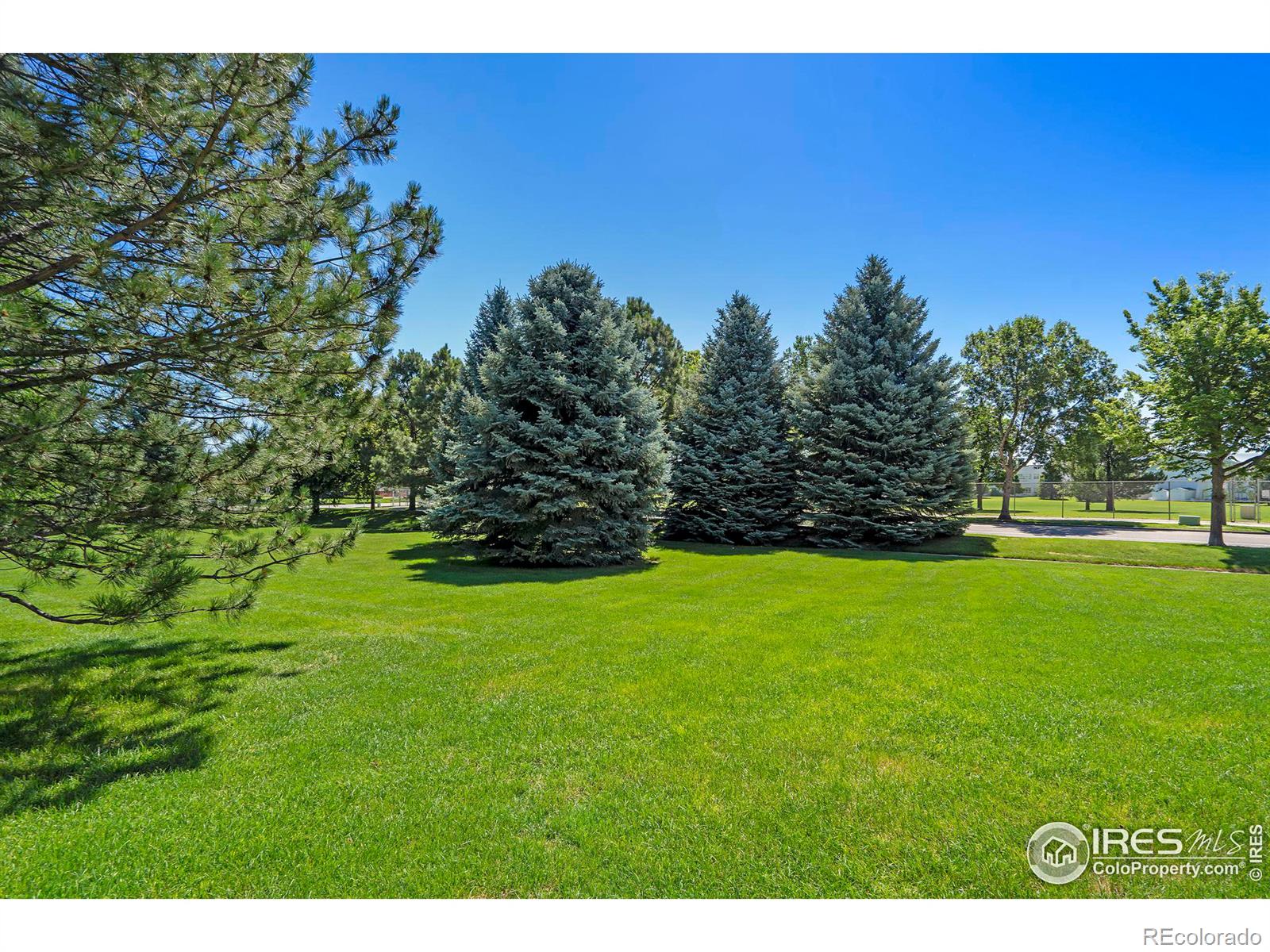 MLS Image #24 for 2602  timberwood drive,fort collins, Colorado