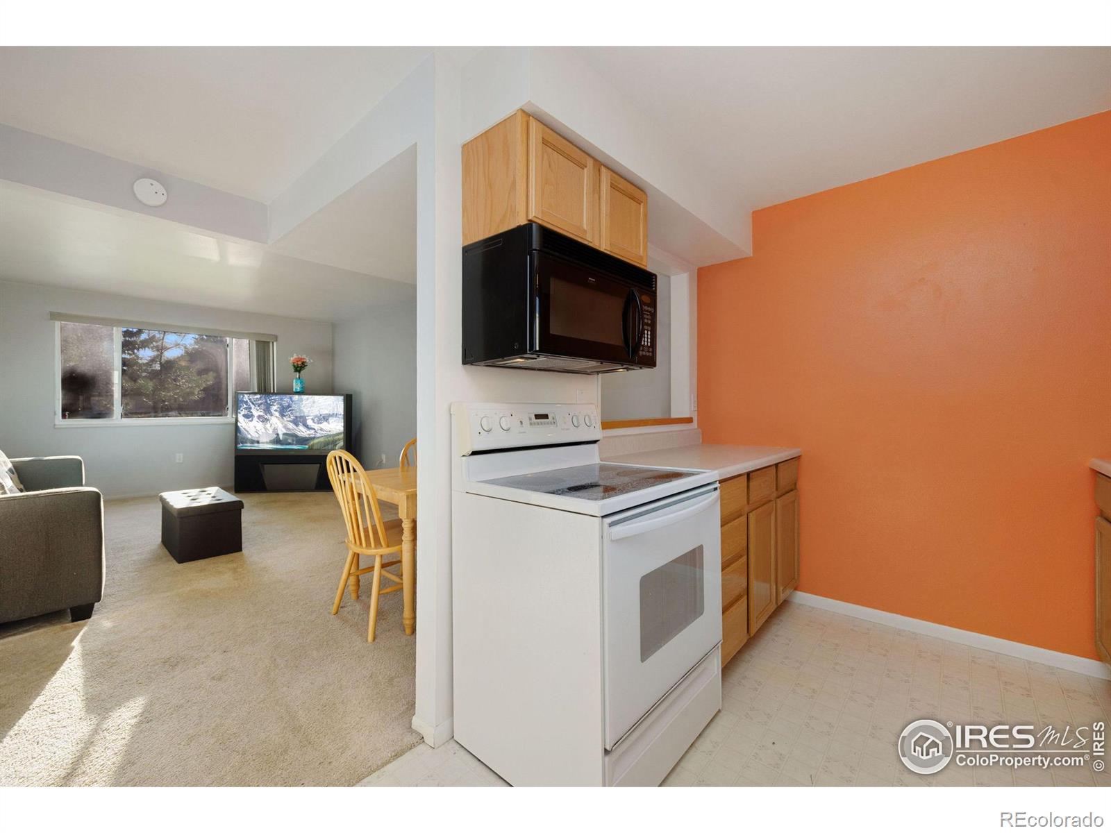 MLS Image #12 for 707  3rd street,windsor, Colorado