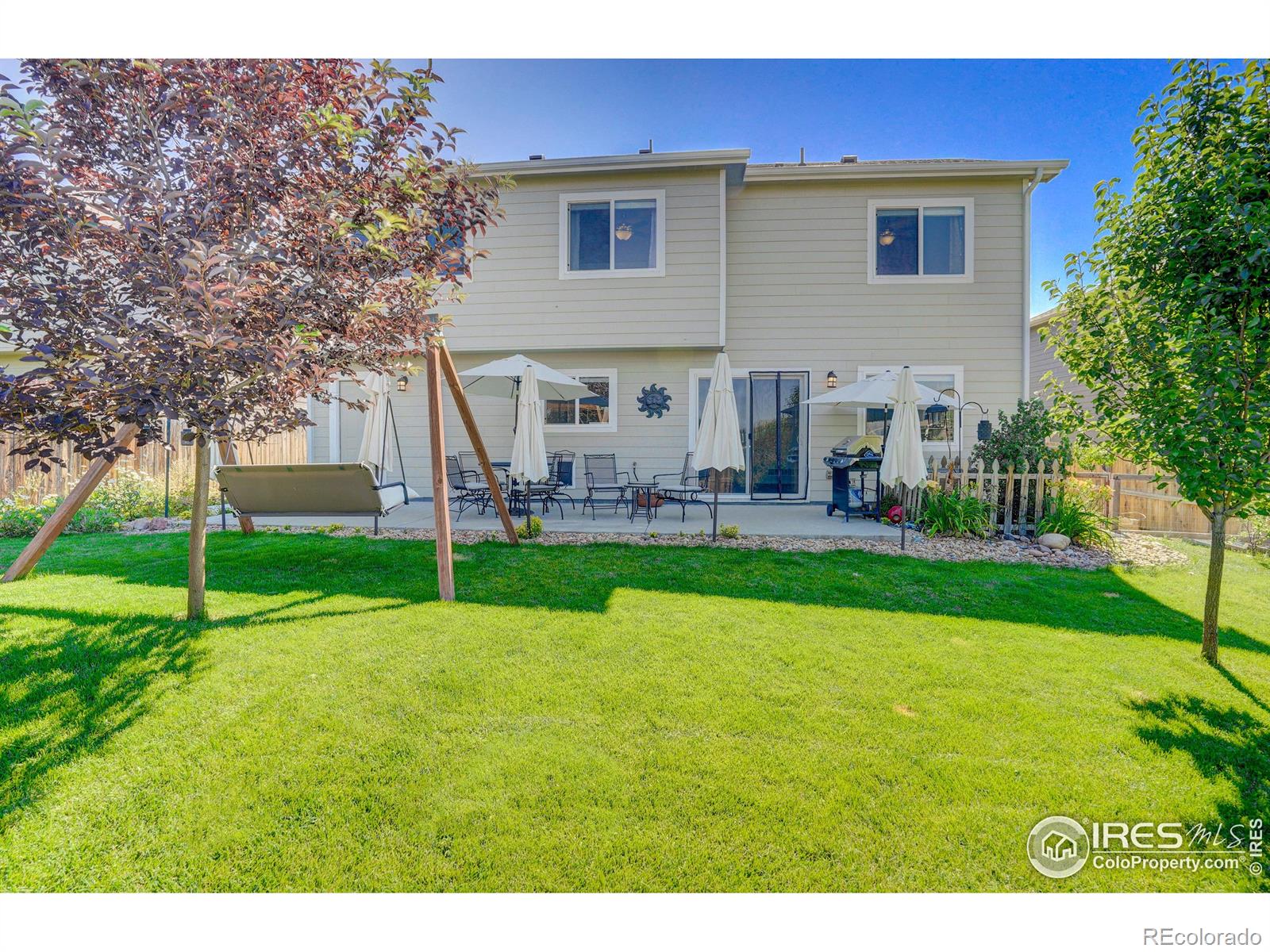 MLS Image #20 for 209  windflower way,severance, Colorado