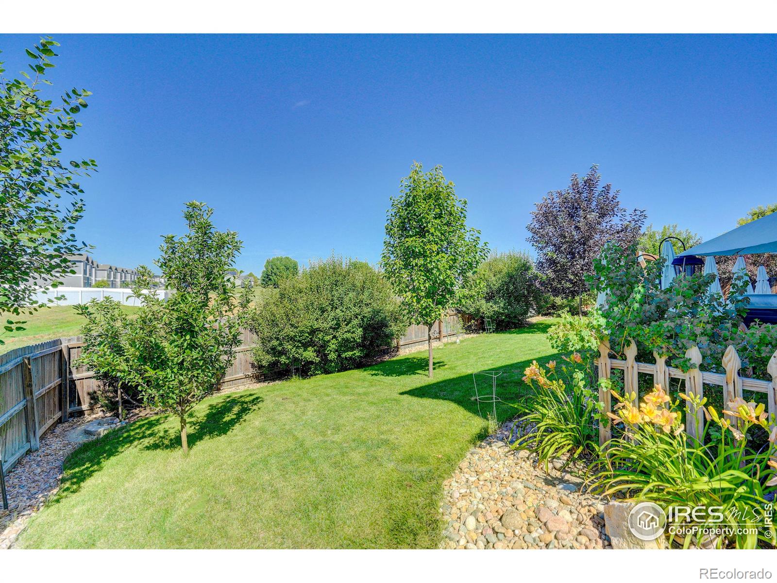 MLS Image #22 for 209  windflower way,severance, Colorado