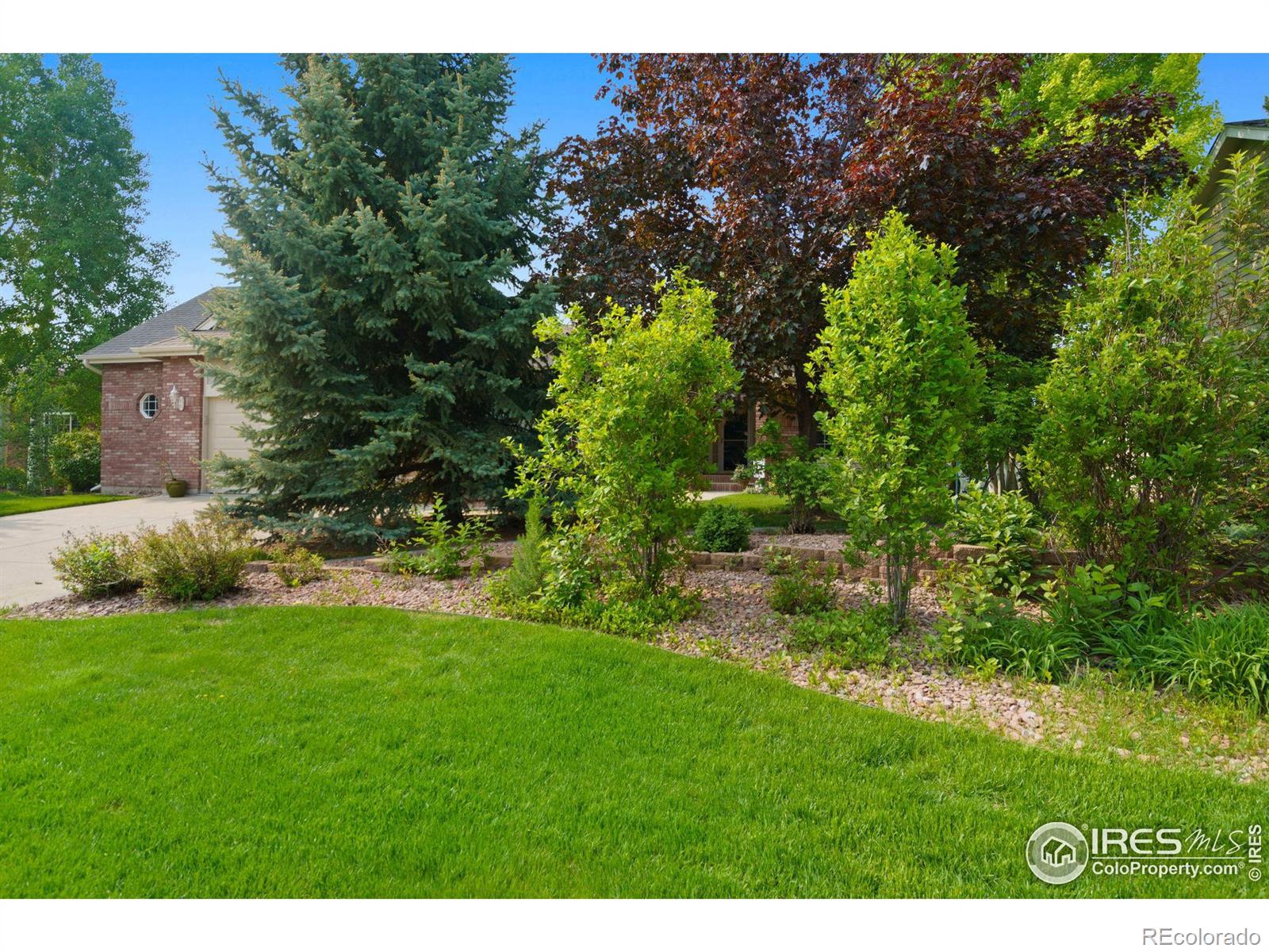 MLS Image #3 for 2259  woody creek circle,loveland, Colorado