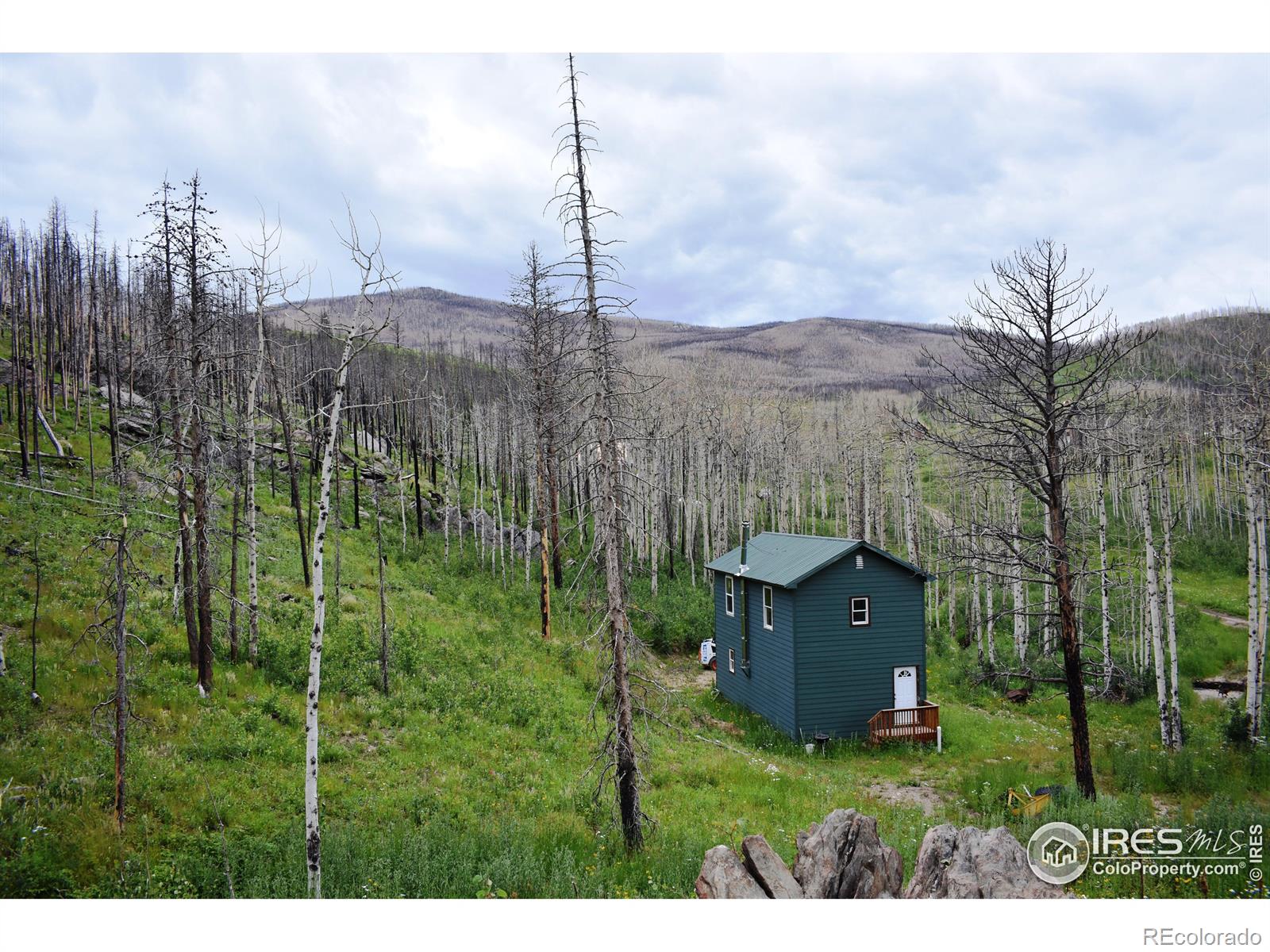 MLS Image #0 for 500  powder horn trail,bellvue, Colorado