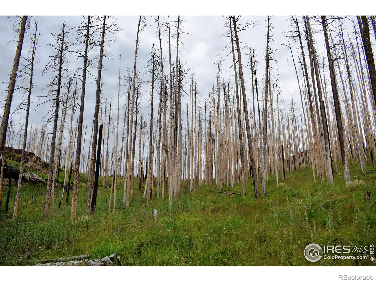 MLS Image #12 for 500  powder horn trail,bellvue, Colorado