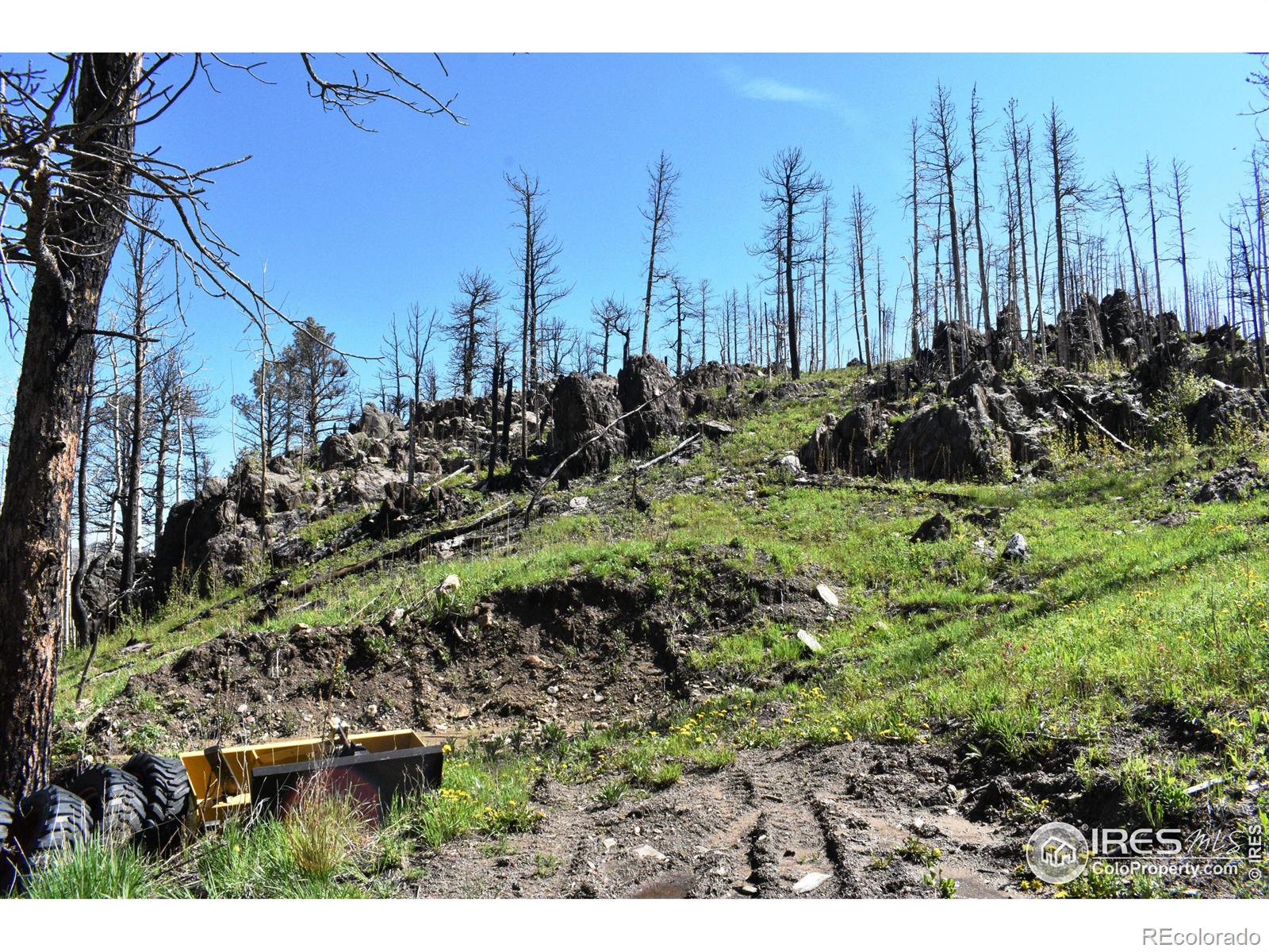 MLS Image #14 for 500  powder horn trail,bellvue, Colorado