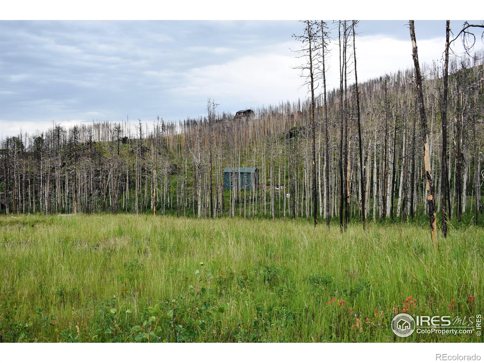 MLS Image #16 for 500  powder horn trail,bellvue, Colorado