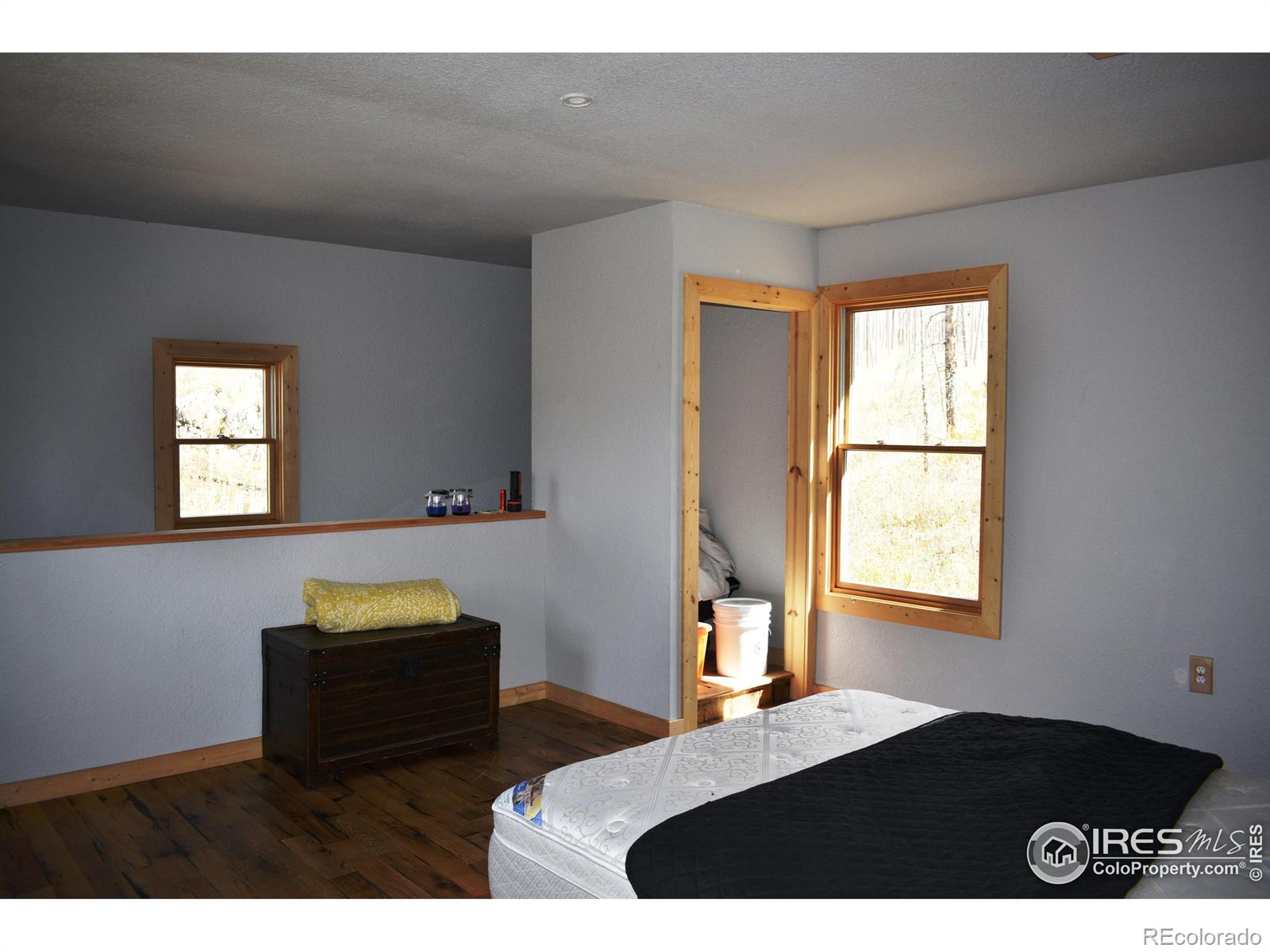 MLS Image #24 for 500  powder horn trail,bellvue, Colorado
