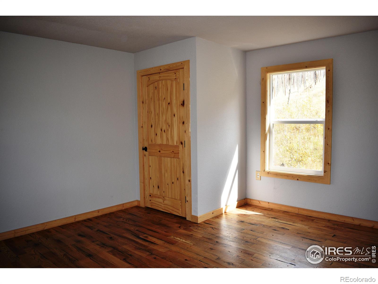 MLS Image #28 for 500  powder horn trail,bellvue, Colorado