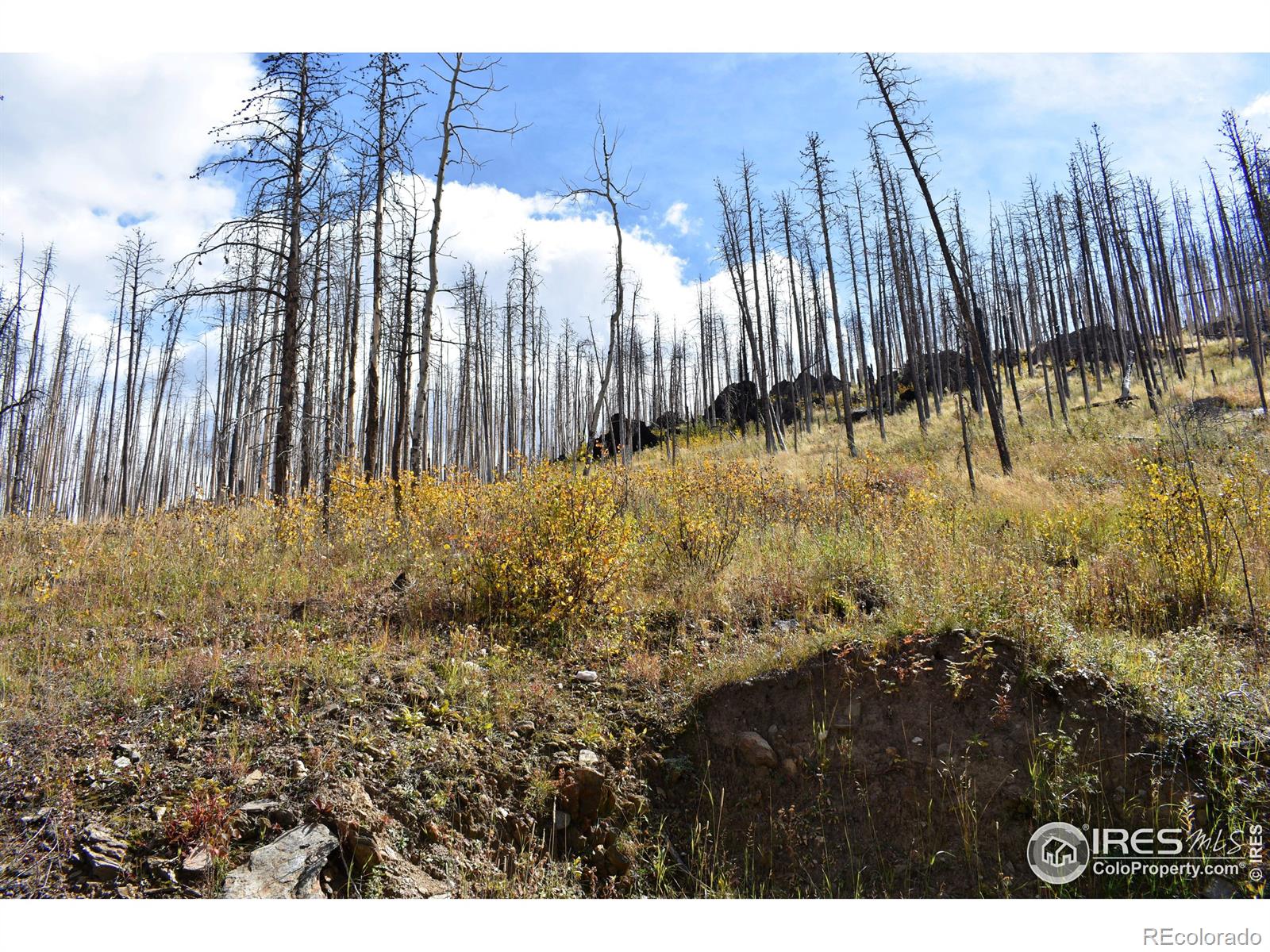 MLS Image #33 for 500  powder horn trail,bellvue, Colorado