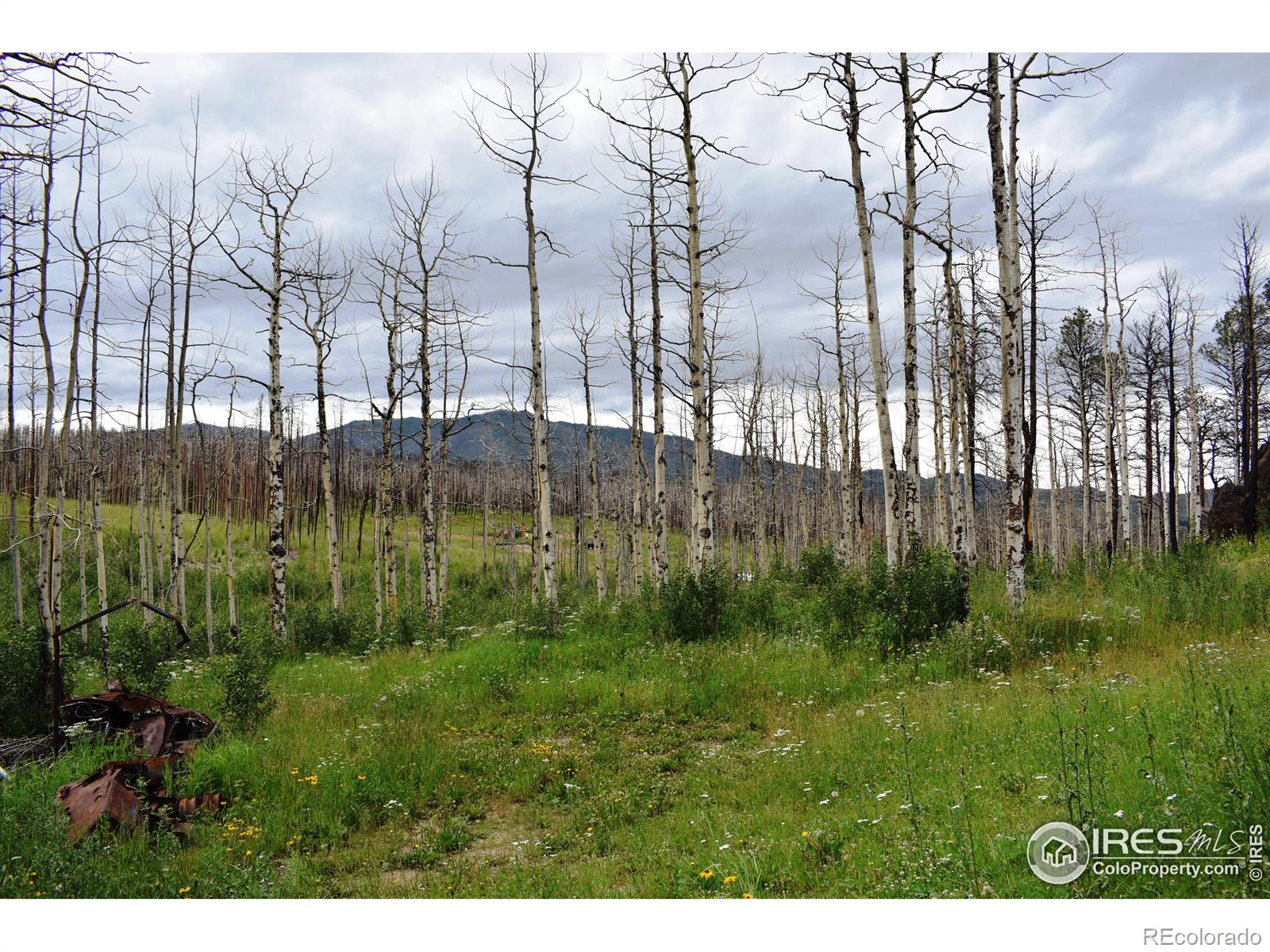 MLS Image #4 for 500  powder horn trail,bellvue, Colorado