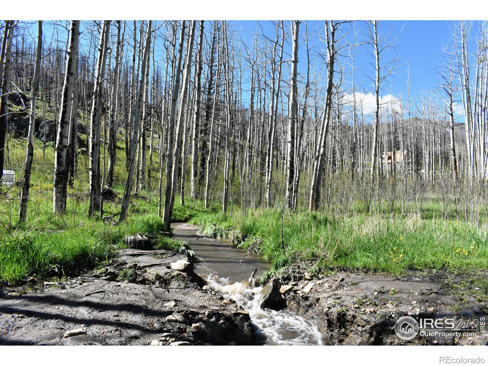 MLS Image #7 for 500  powder horn trail,bellvue, Colorado