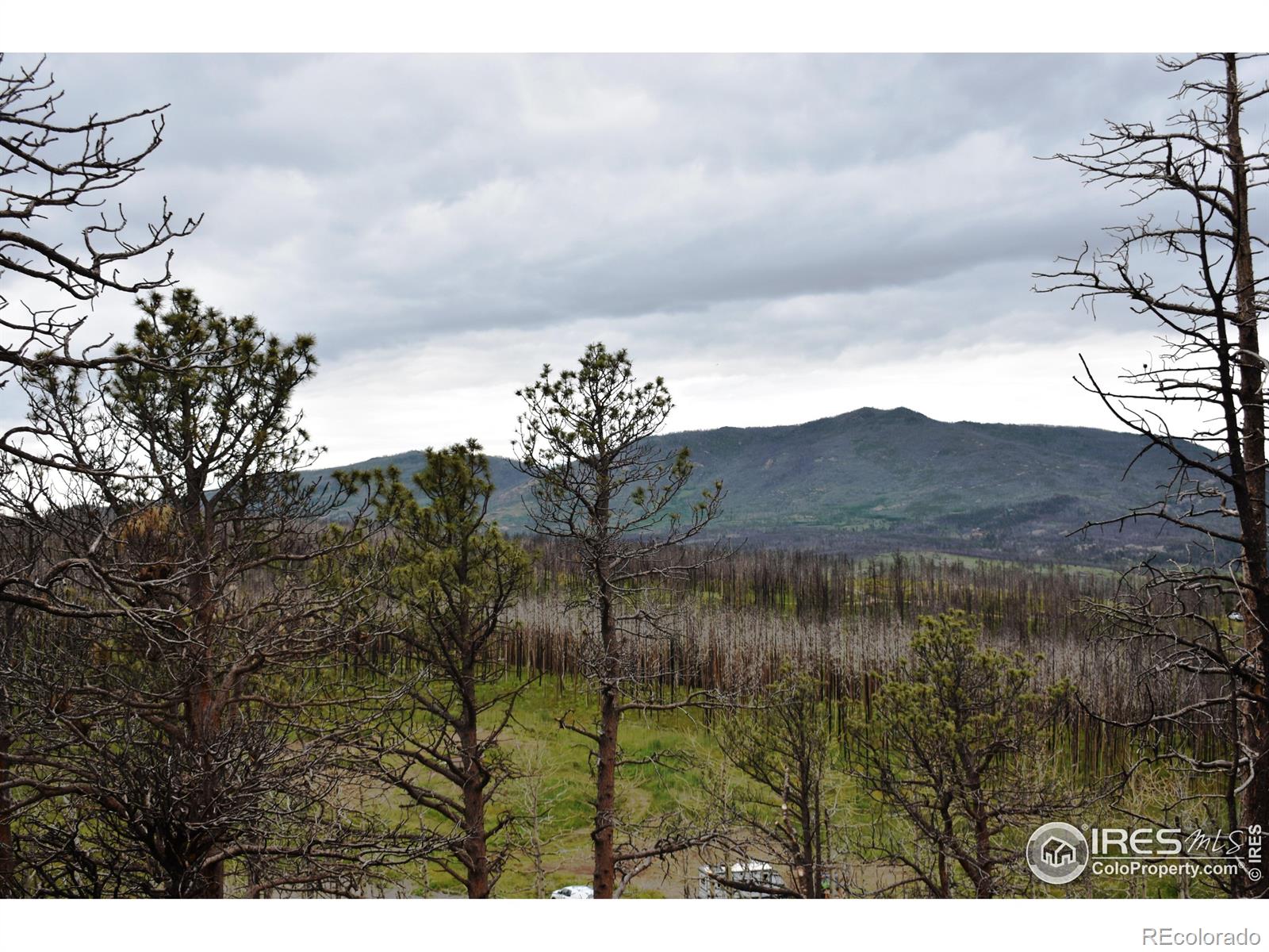 MLS Image #8 for 500  powder horn trail,bellvue, Colorado