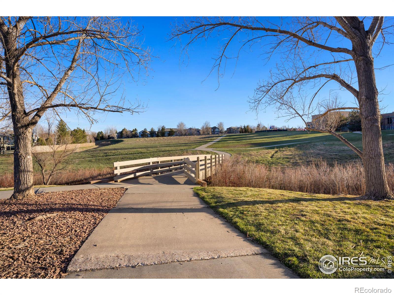 MLS Image #34 for 1491  lanterns lane,superior, Colorado