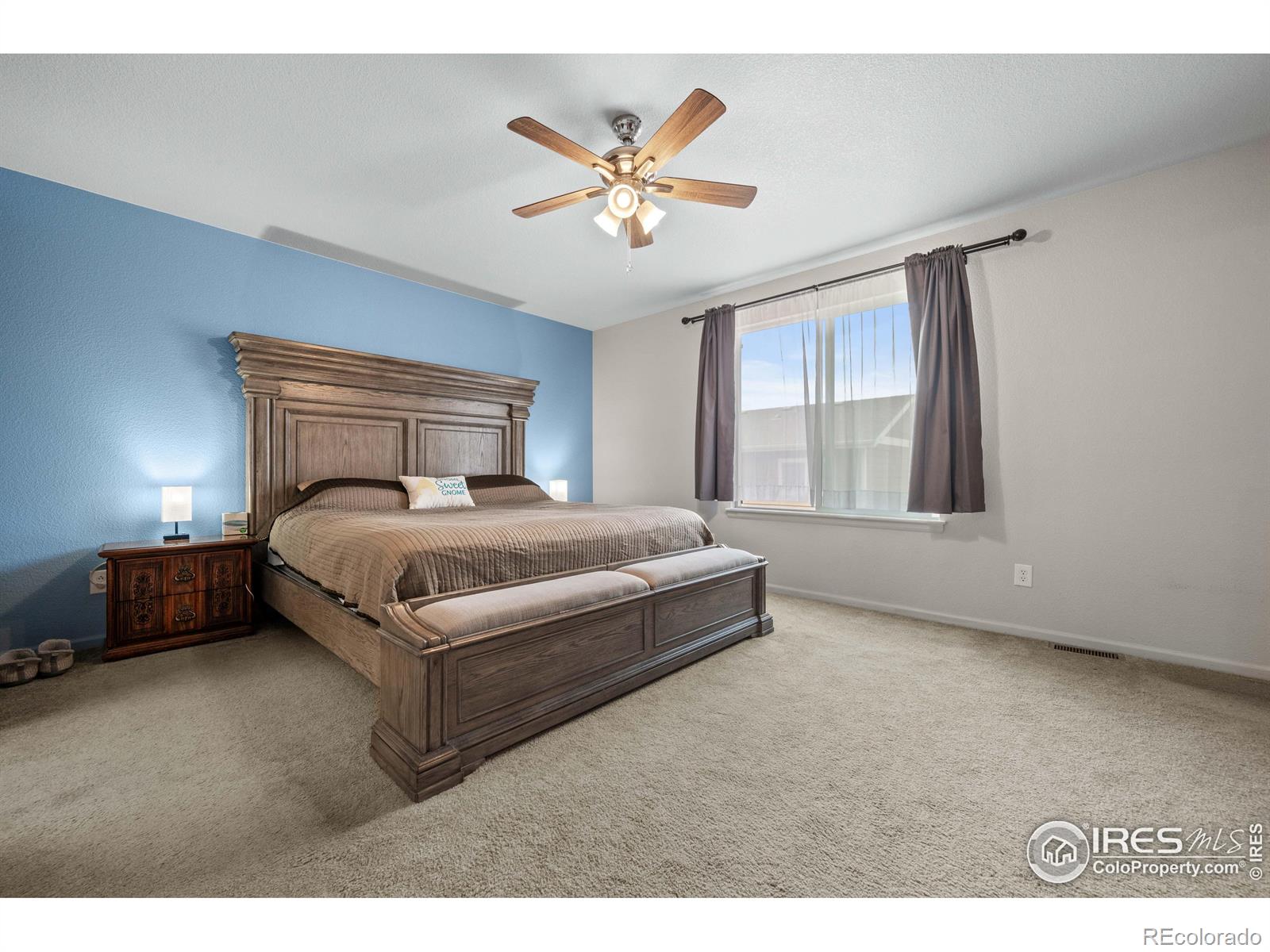 MLS Image #13 for 10431  durango place,longmont, Colorado