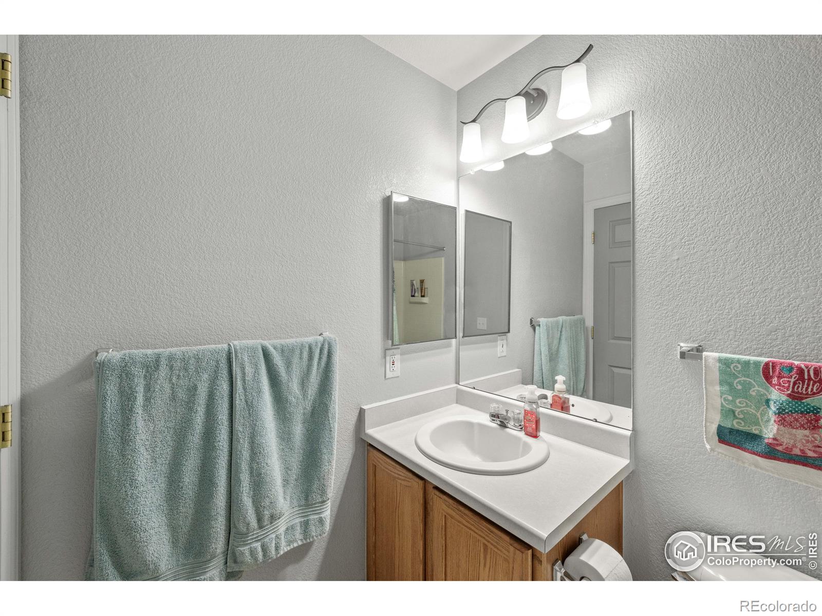 MLS Image #21 for 10431  durango place,longmont, Colorado