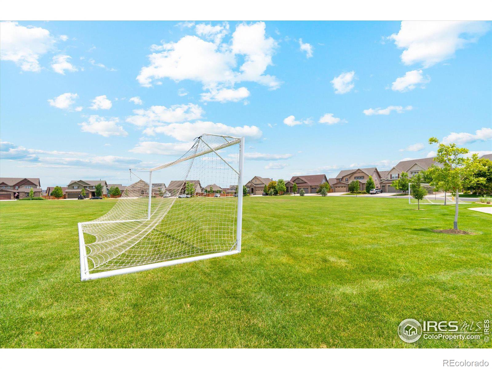 MLS Image #37 for 15925  columbine street,thornton, Colorado