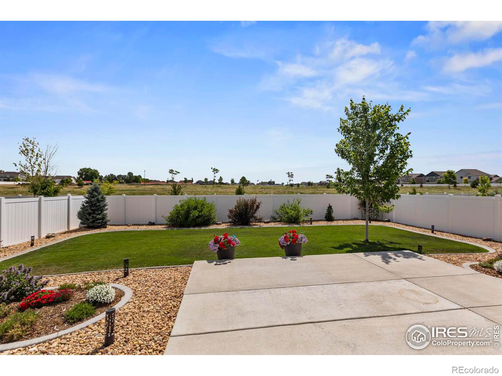 MLS Image #22 for 4903  keston drive,windsor, Colorado