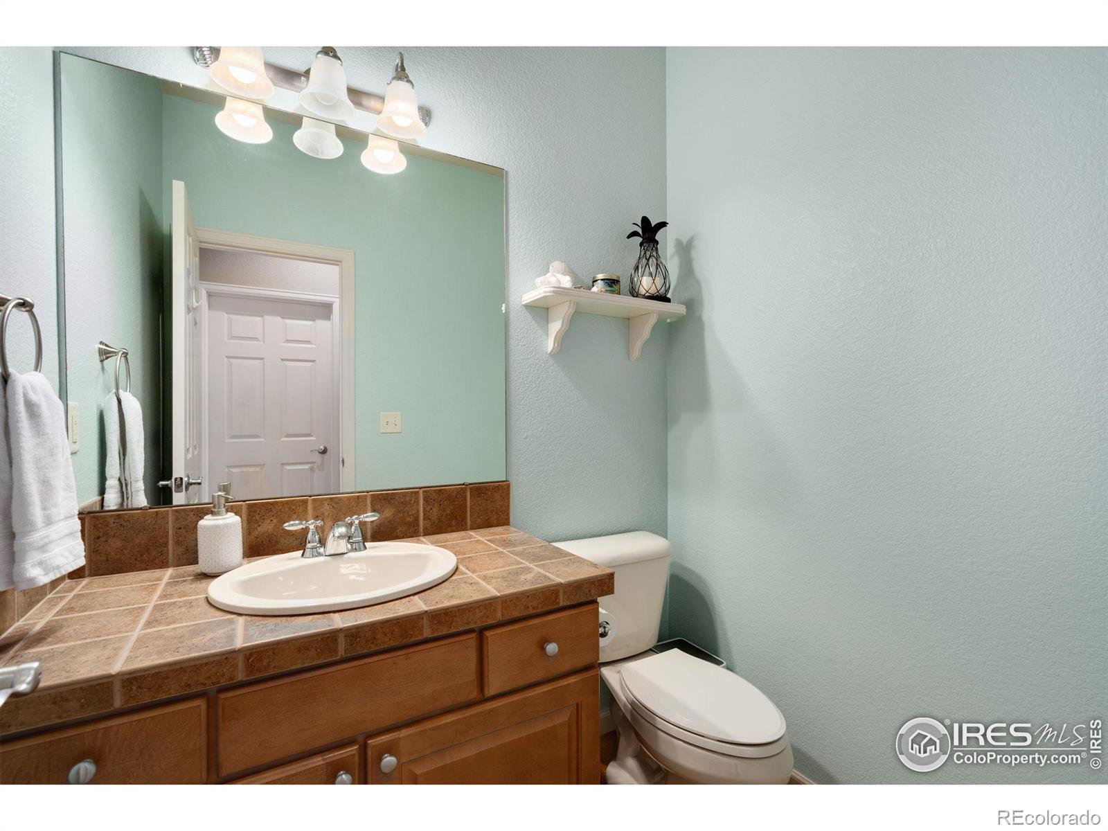 MLS Image #18 for 1515  landon court,windsor, Colorado