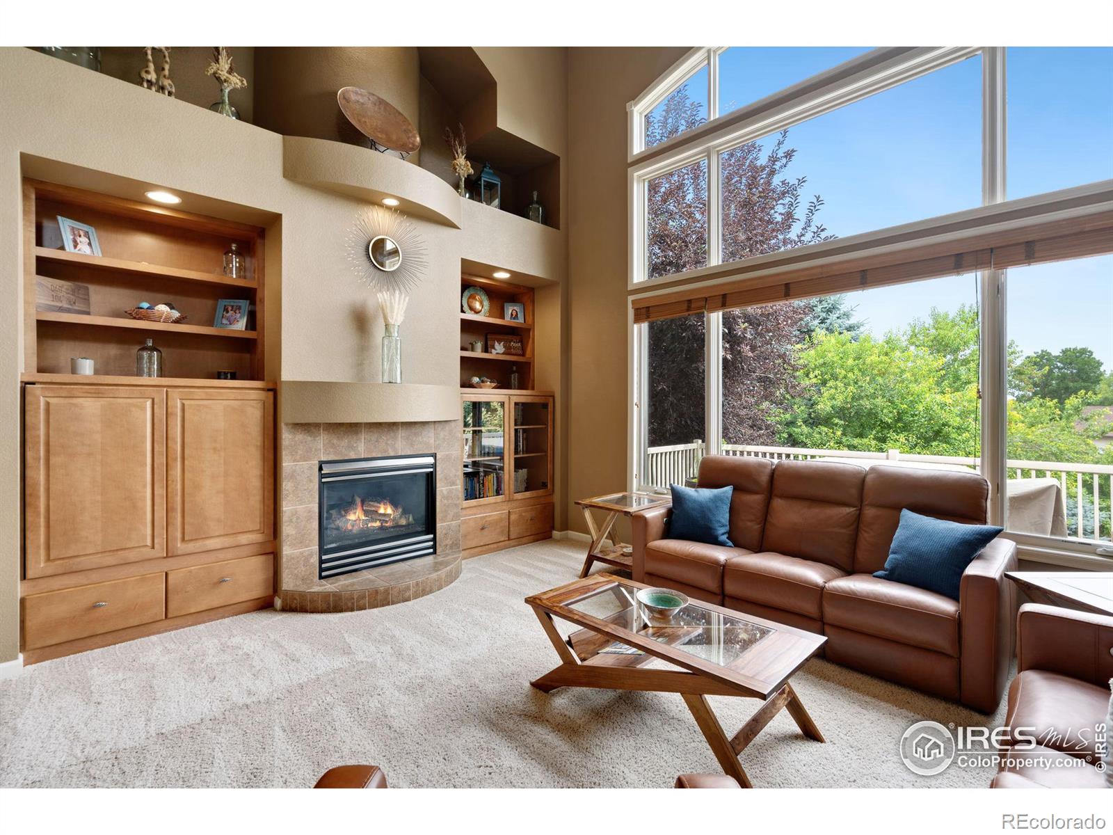 MLS Image #9 for 1515  landon court,windsor, Colorado