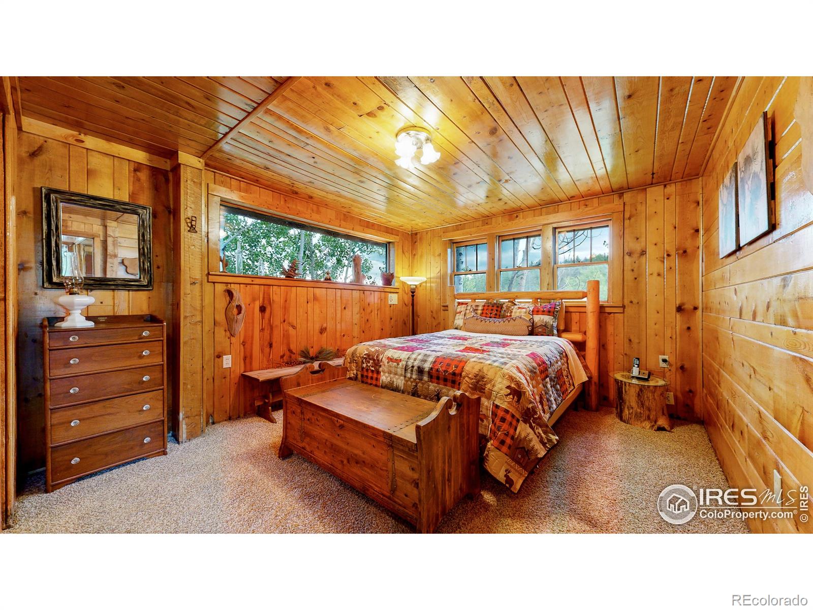 MLS Image #11 for 190  clarabell lane,allenspark, Colorado