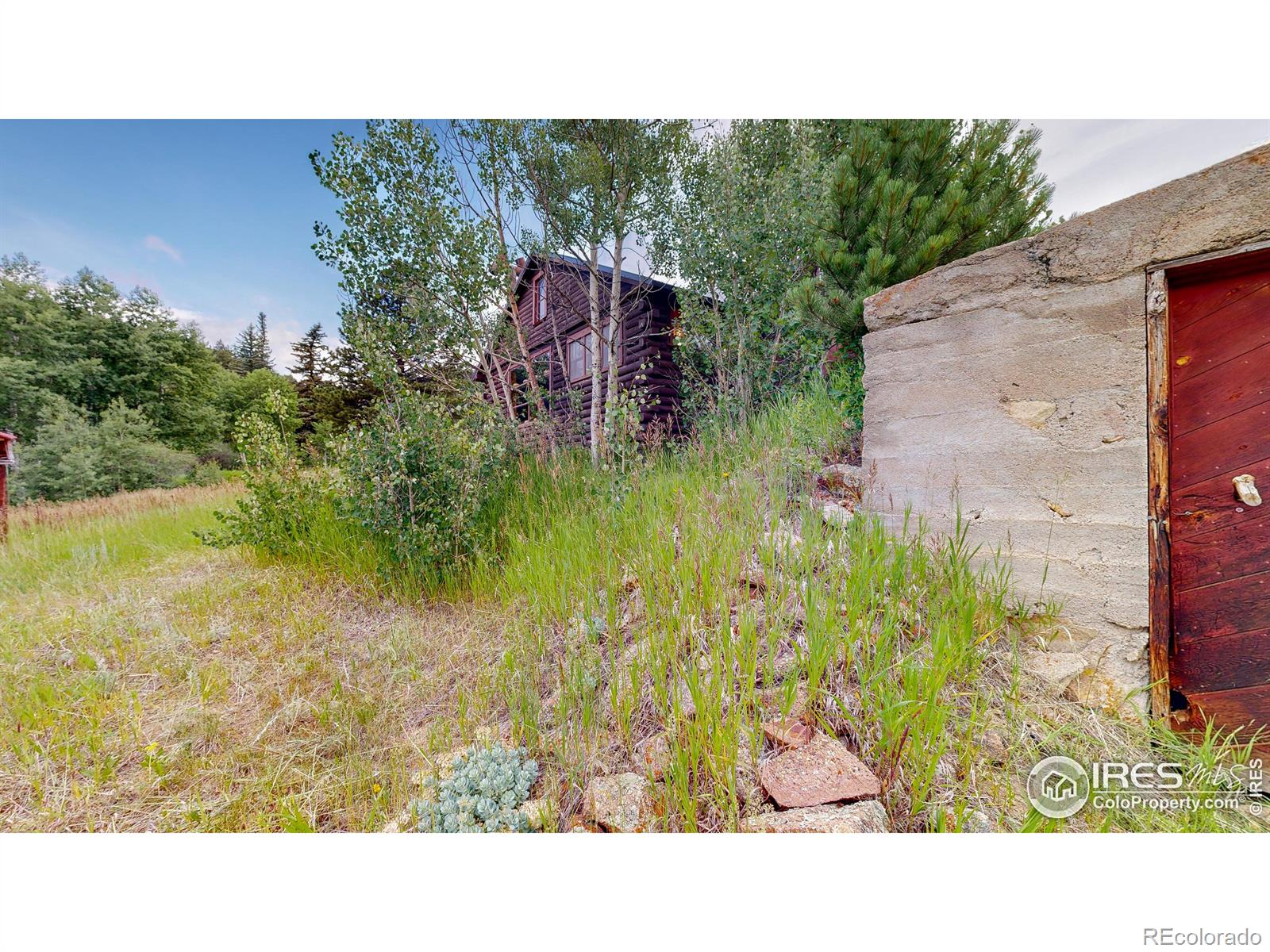 MLS Image #26 for 190  clarabell lane,allenspark, Colorado