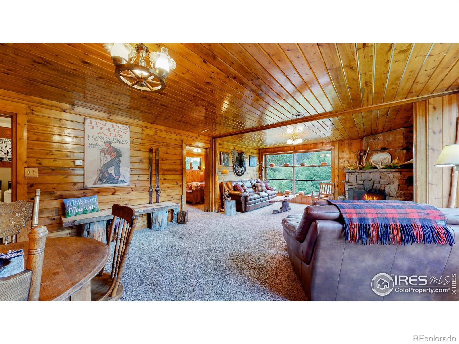 MLS Image #3 for 190  clarabell lane,allenspark, Colorado