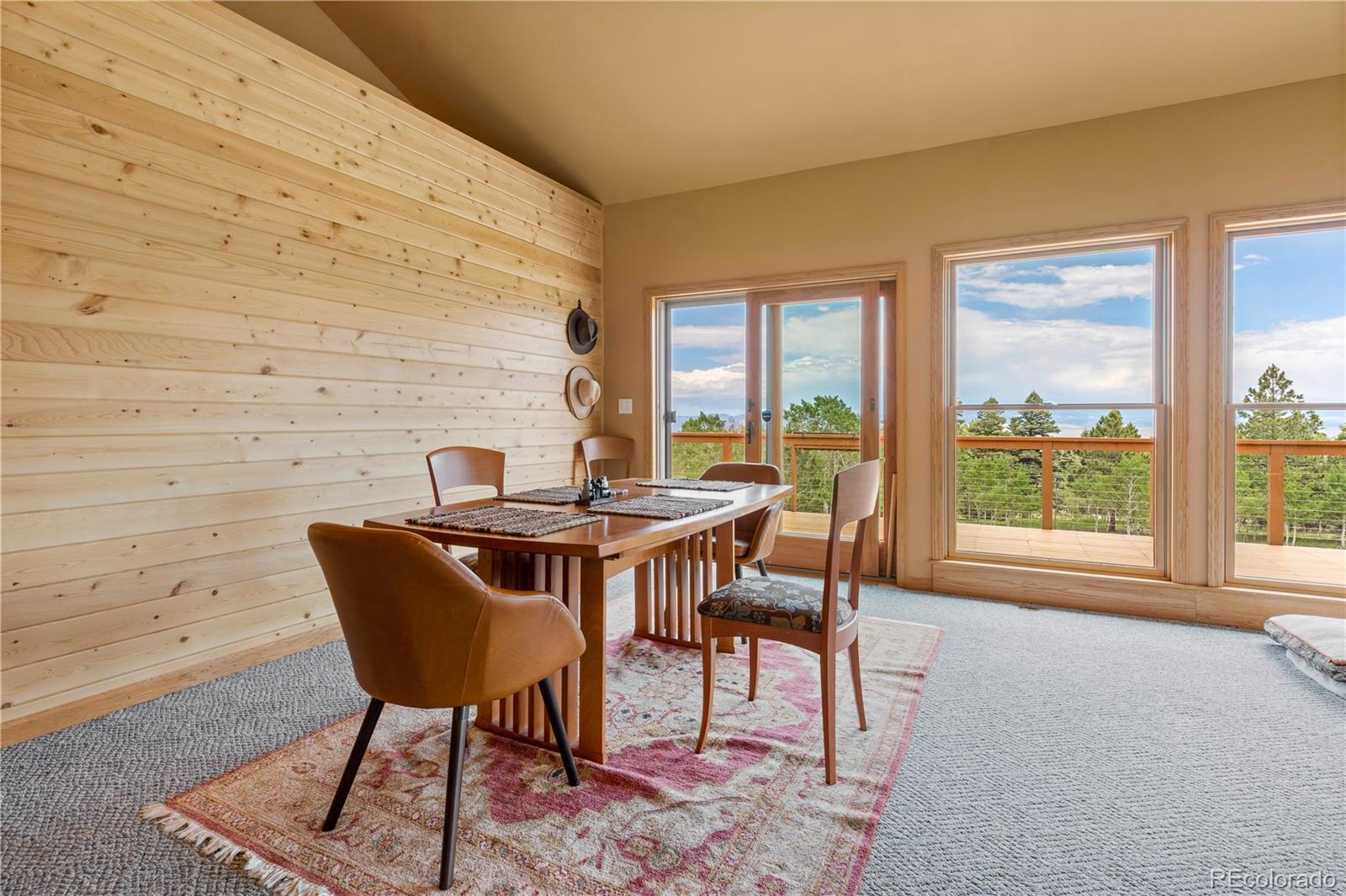 MLS Image #10 for 1446  chalice drive,westcliffe, Colorado