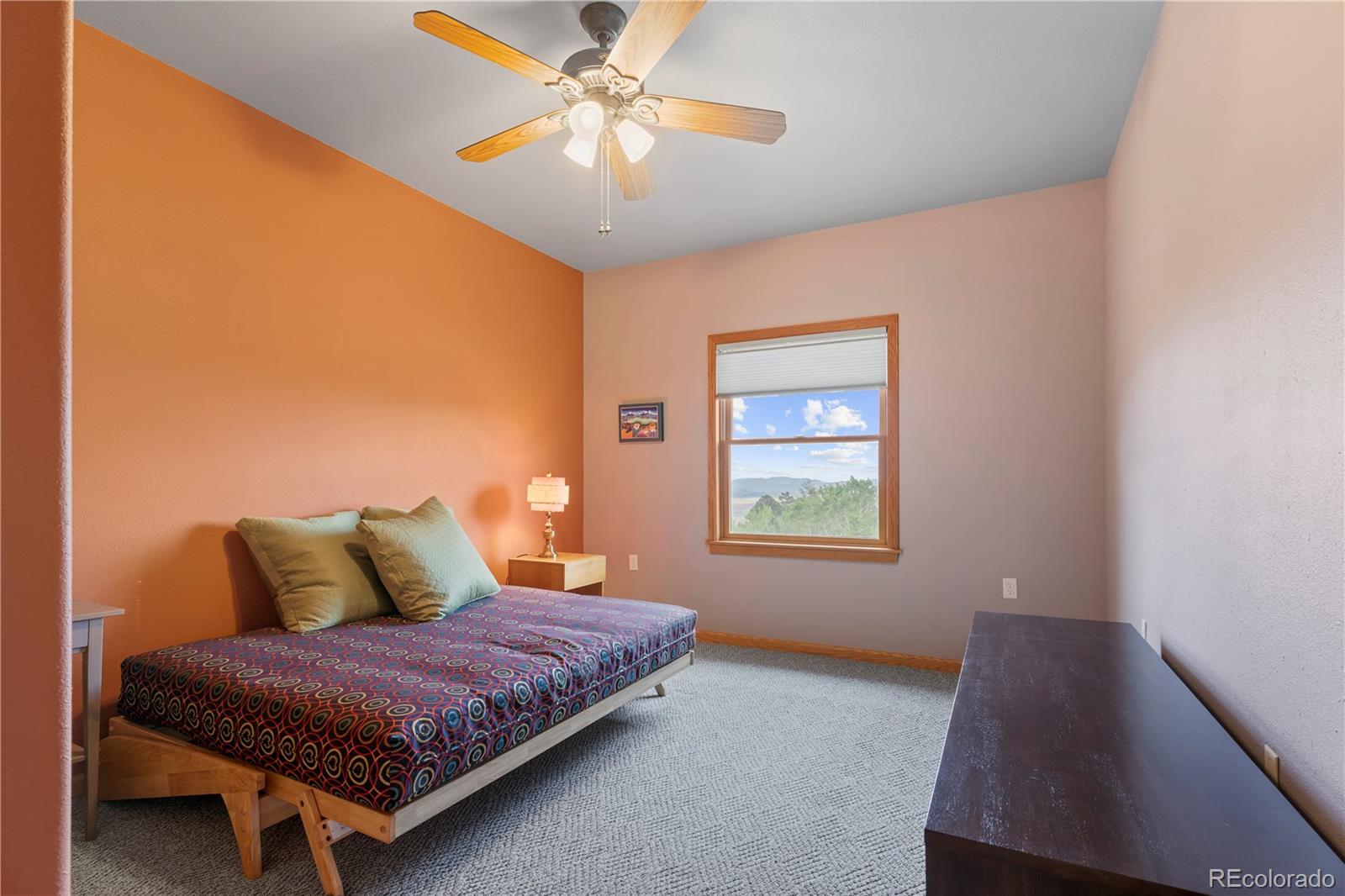 MLS Image #19 for 1446  chalice drive,westcliffe, Colorado