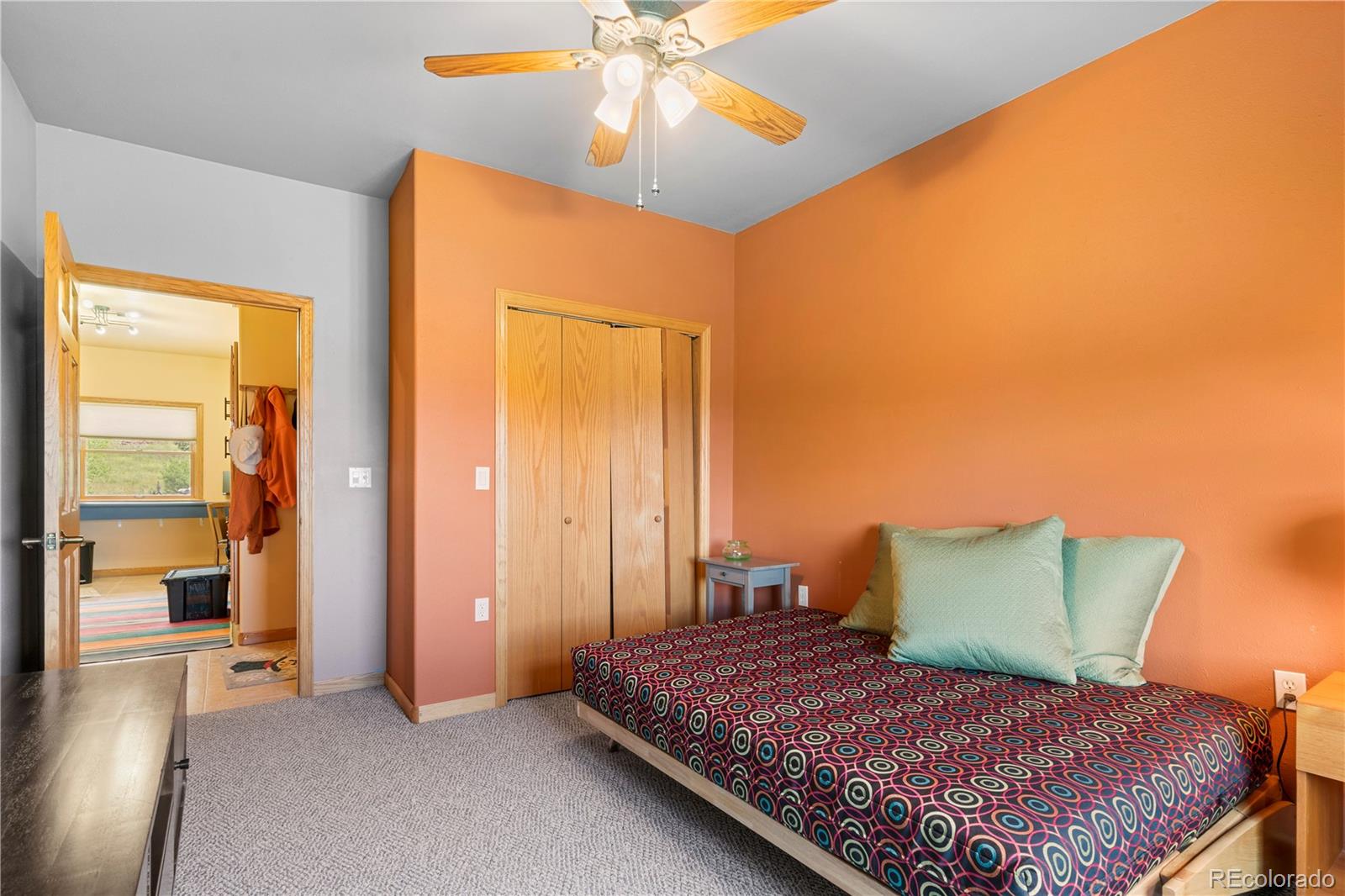 MLS Image #20 for 1446  chalice drive,westcliffe, Colorado