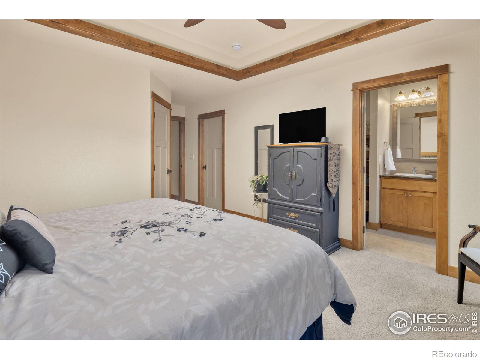 MLS Image #13 for 20184  leola way,eaton, Colorado